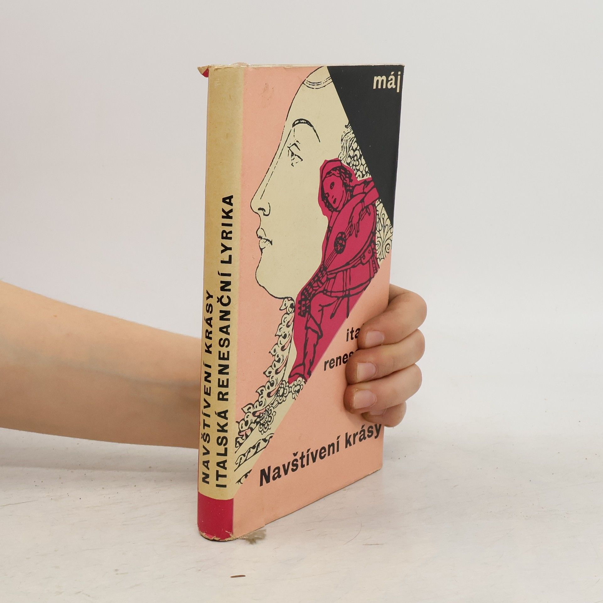 Jan Vladislav Navštívení krásy. Italská renesanční lyrika