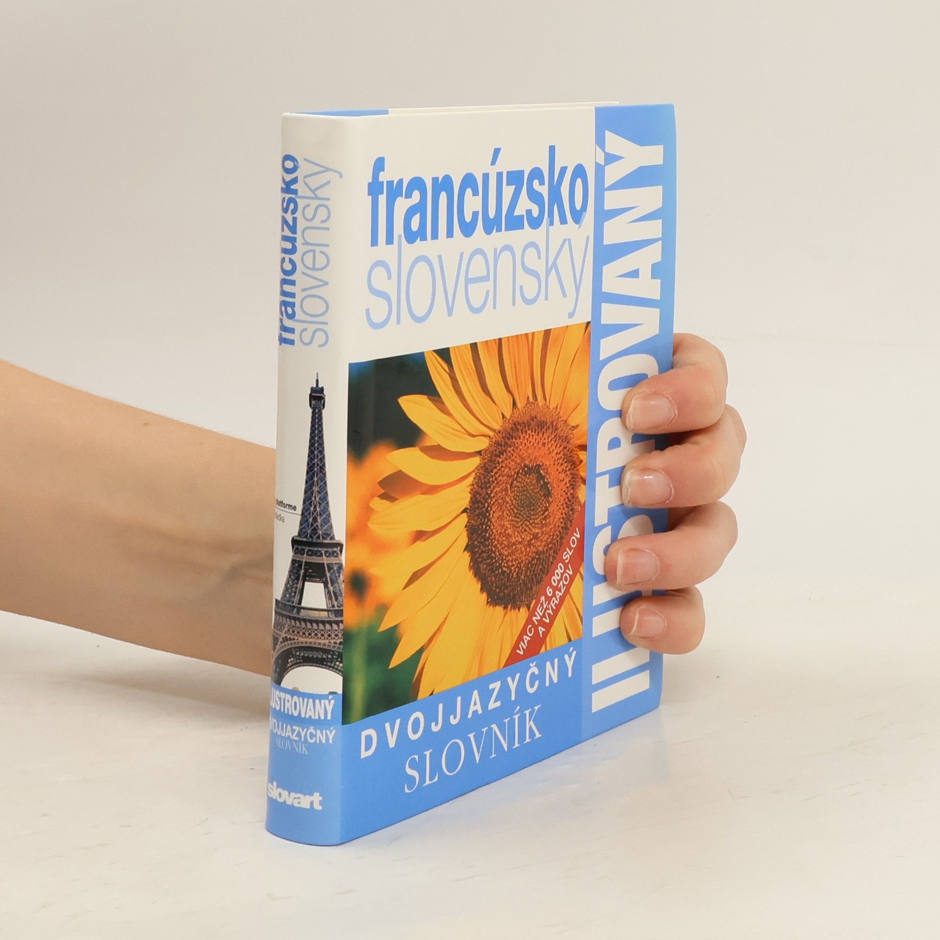 Autorenkollektiv Ilustrovaný slovník francúzsko-slovenský