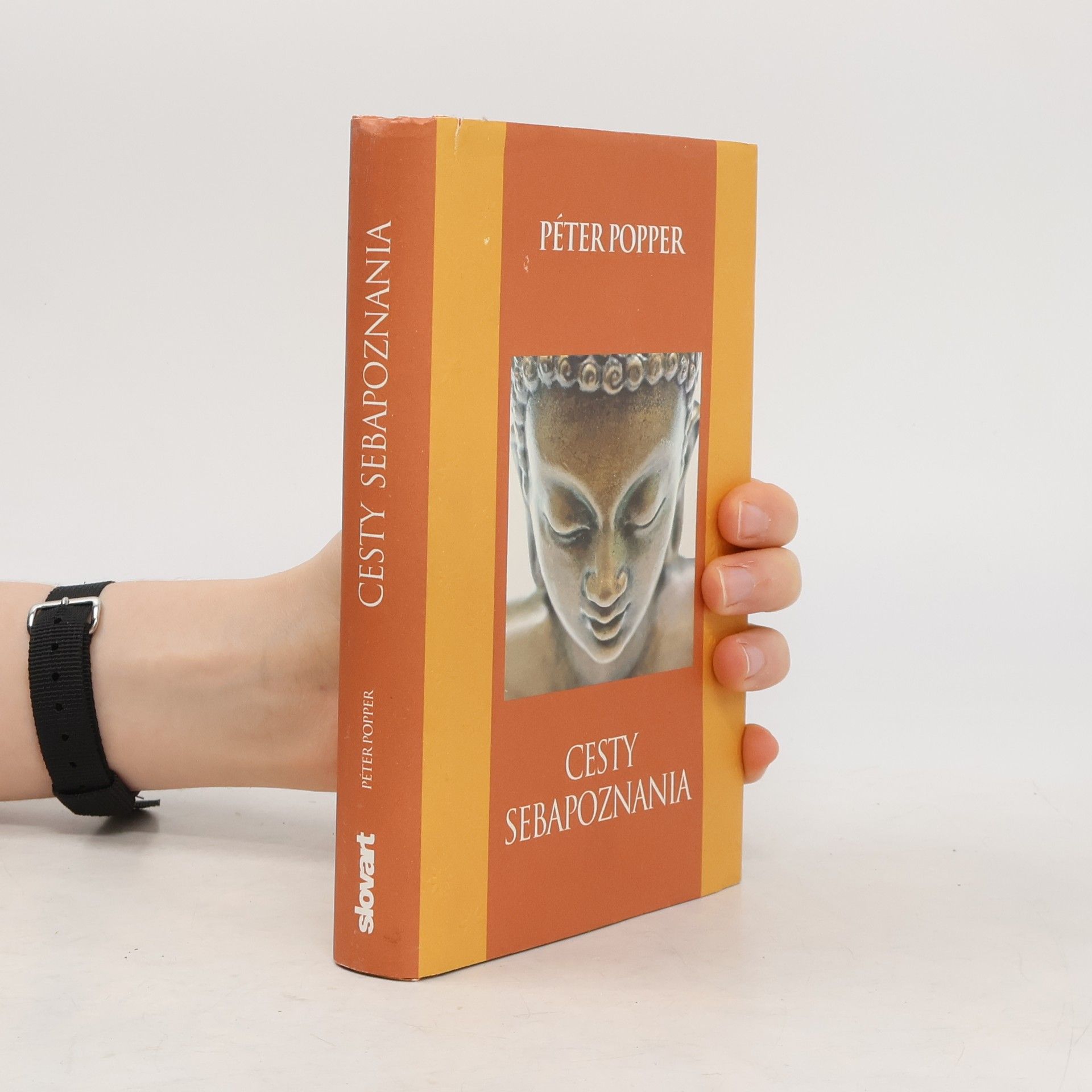 Péter Popper Cesty sebapoznania