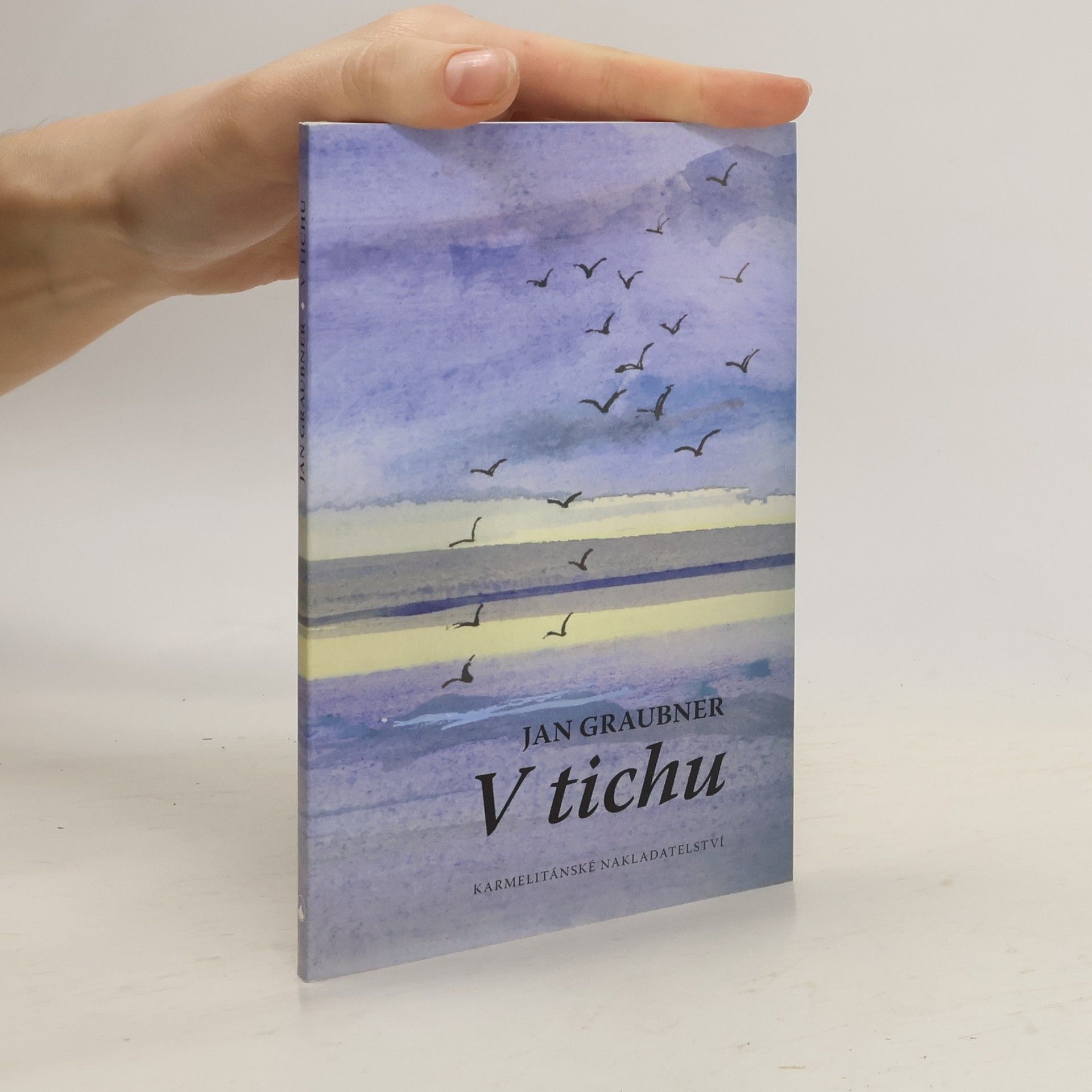 V tichu
