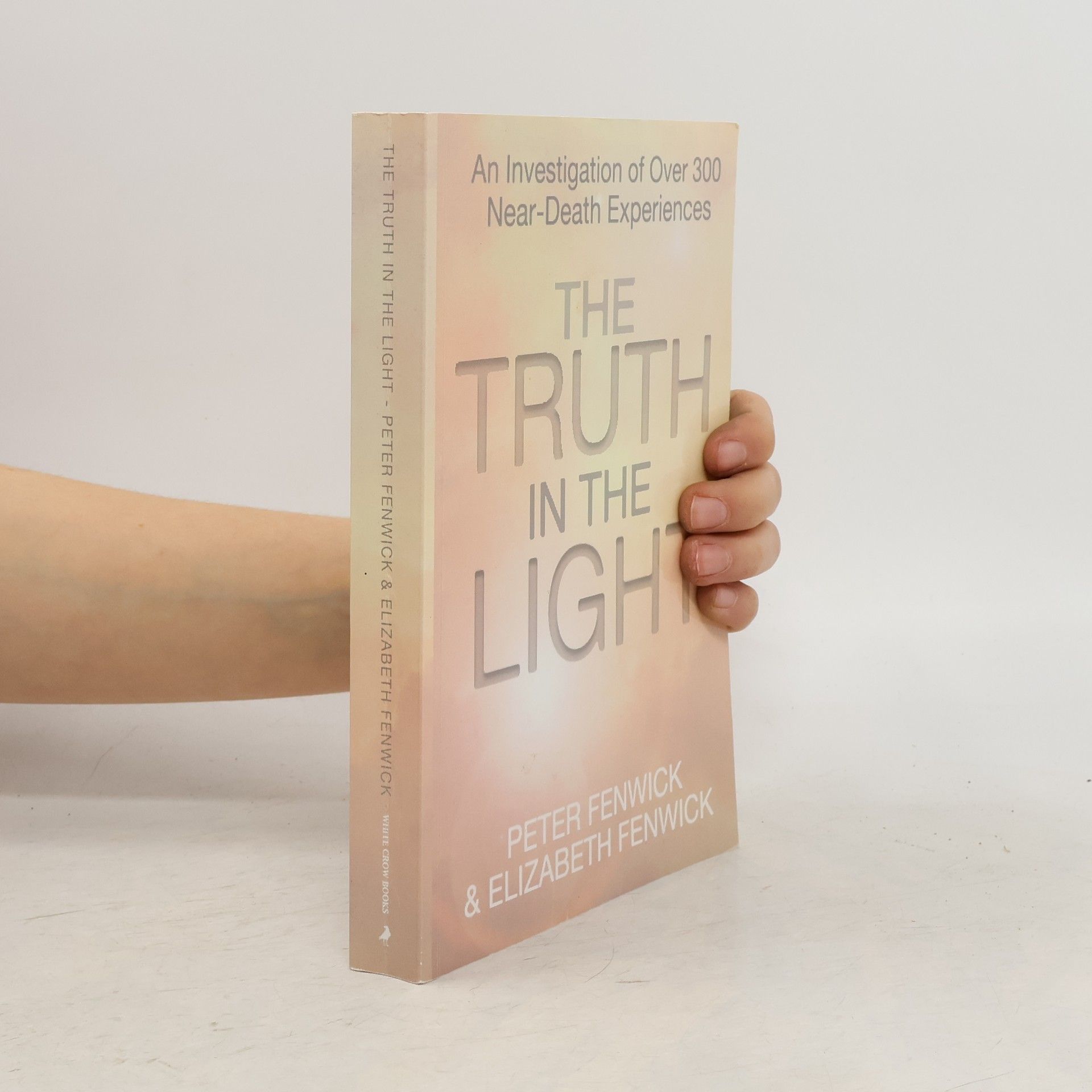 Peter Fenwick The Truth in the Light