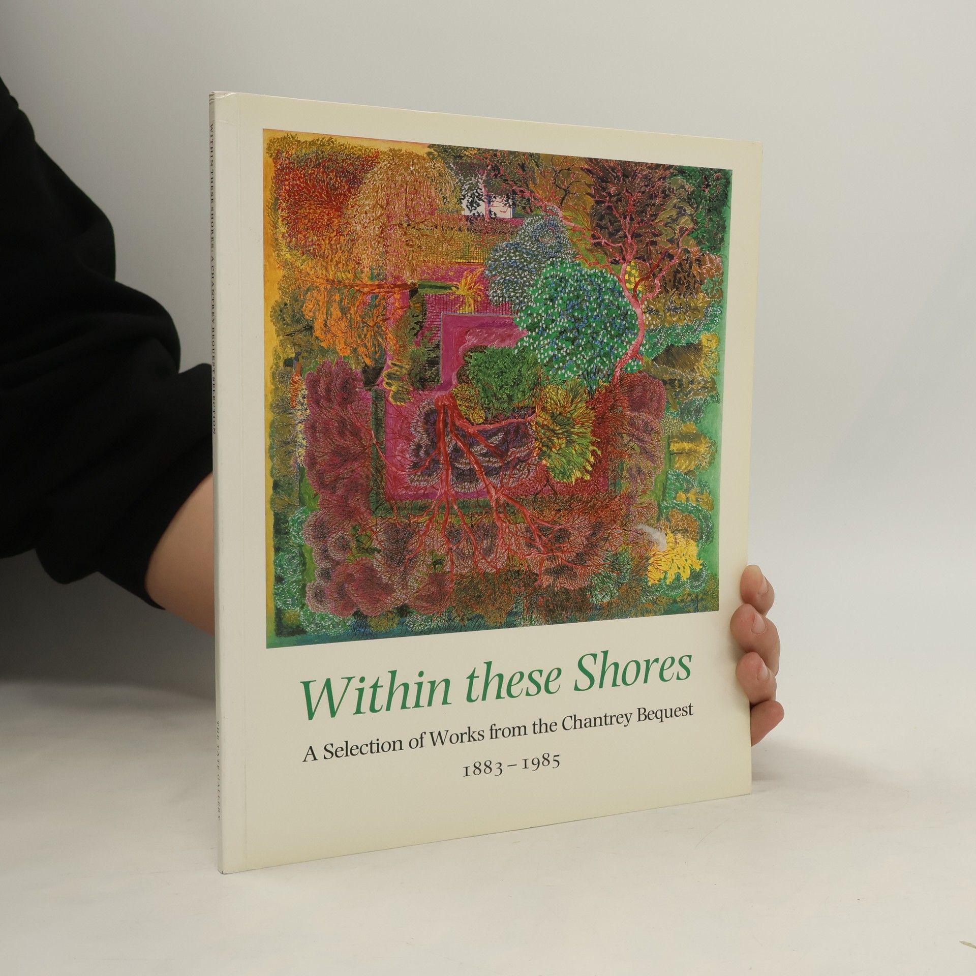 Robin Hamlyn Within These Shores