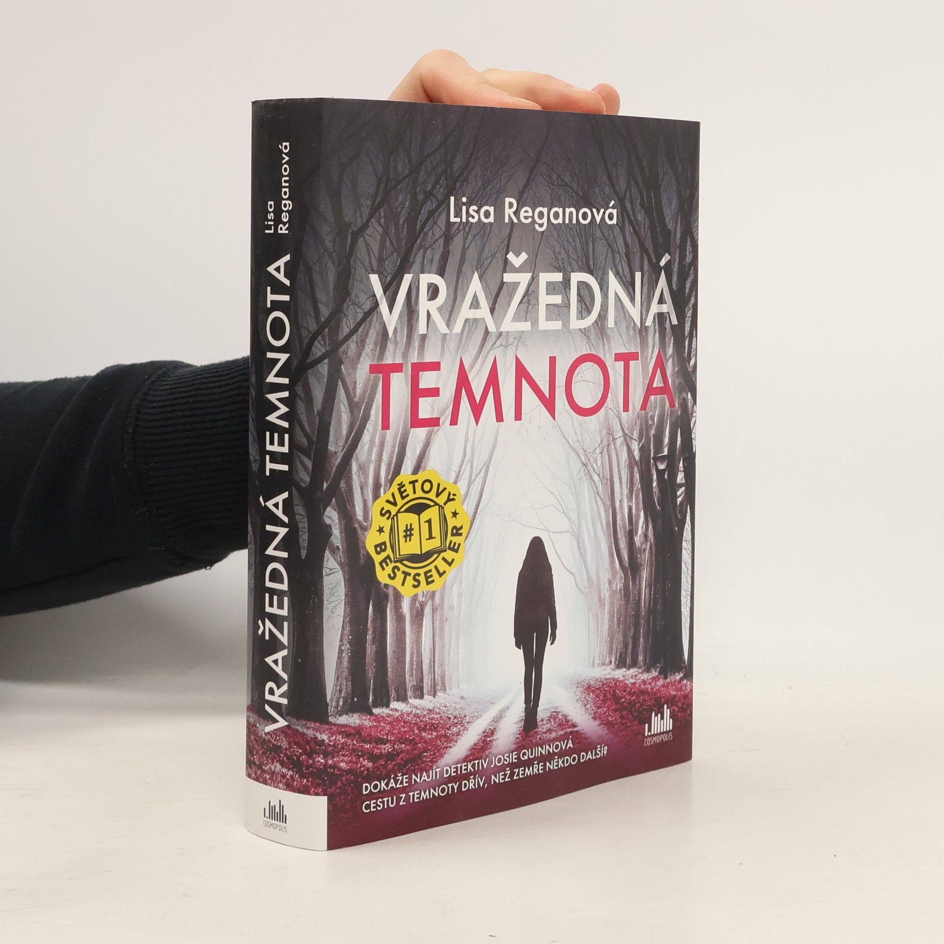 Lisa Regan Vražedná temnota