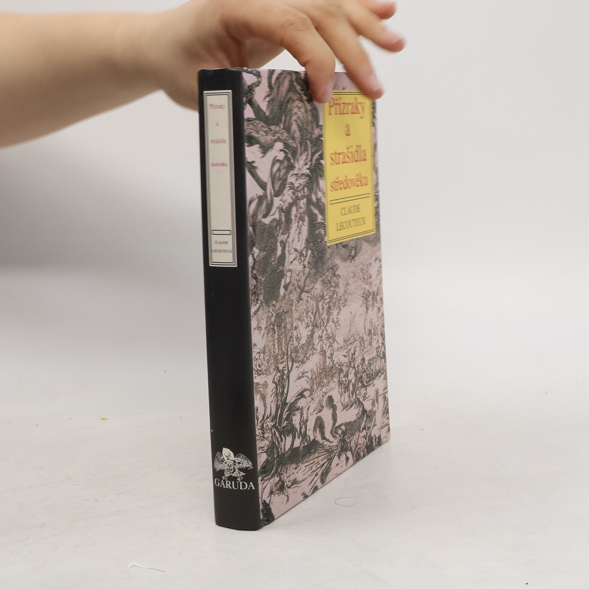 Claude Lecouteux Přízraky a strašidla středověku