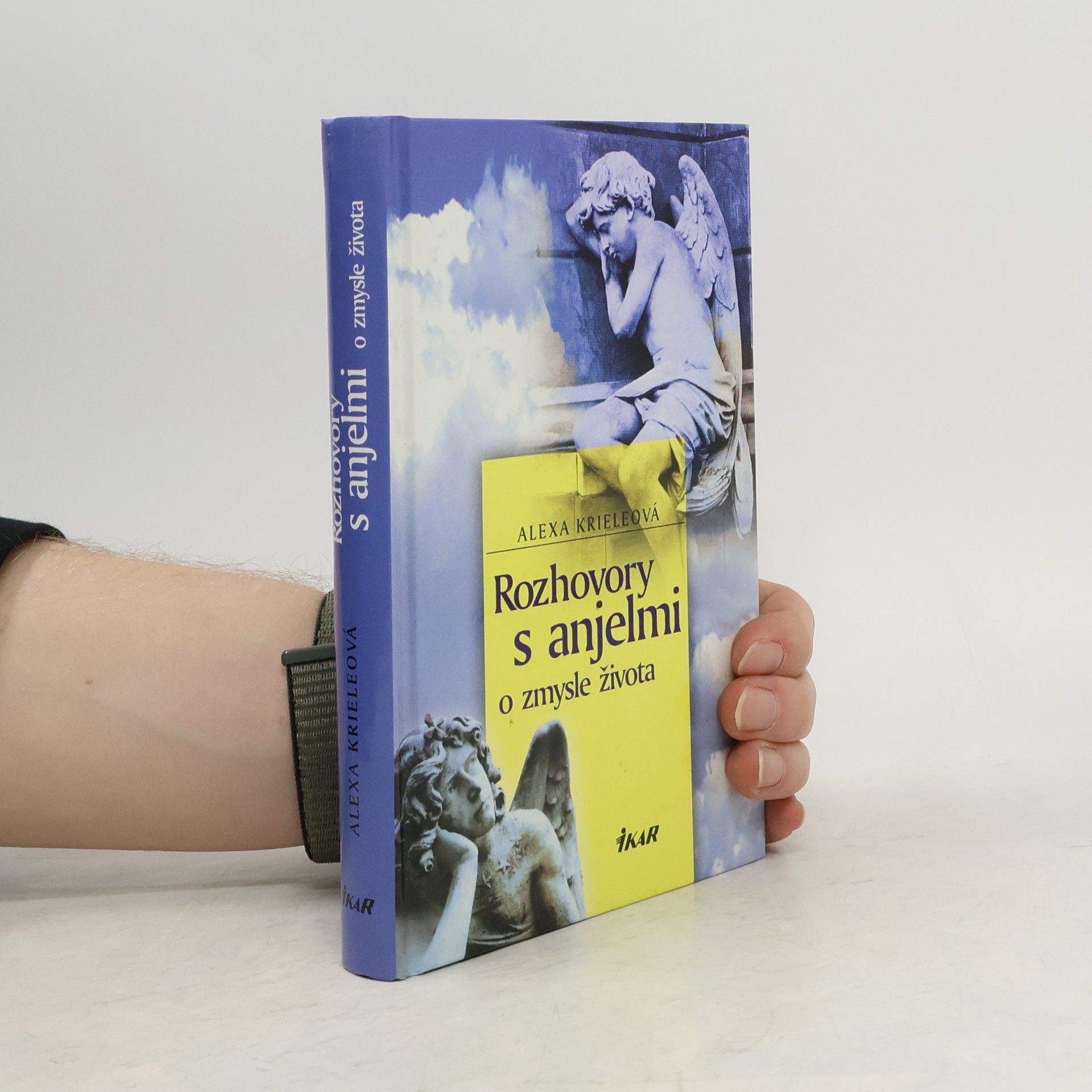 Alexa Kriele Rozhovory s anjelmi o zmysle života