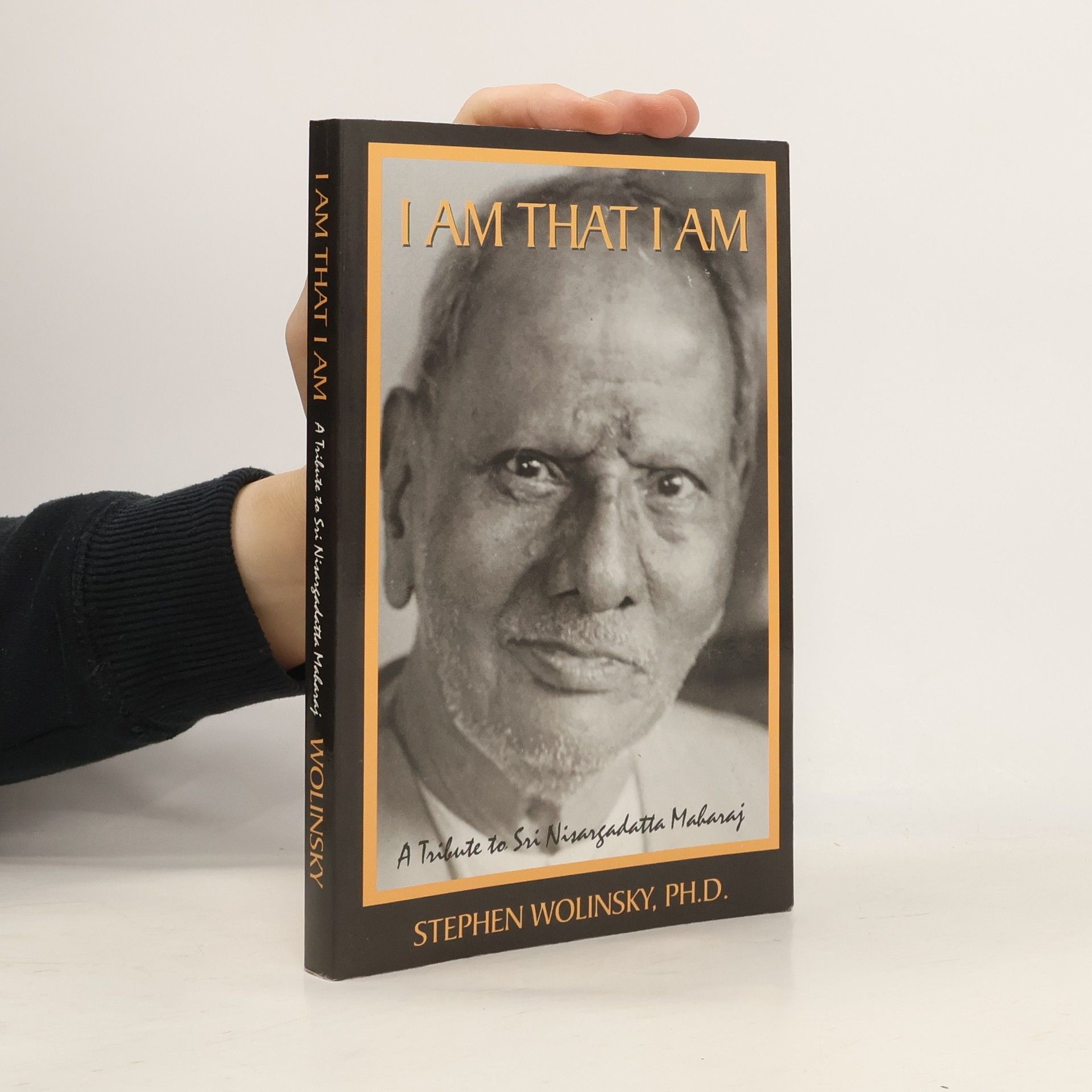 Stephen Wolinsky I Am That I Am: A Tribute to Sri Nisargadatta Maharaj