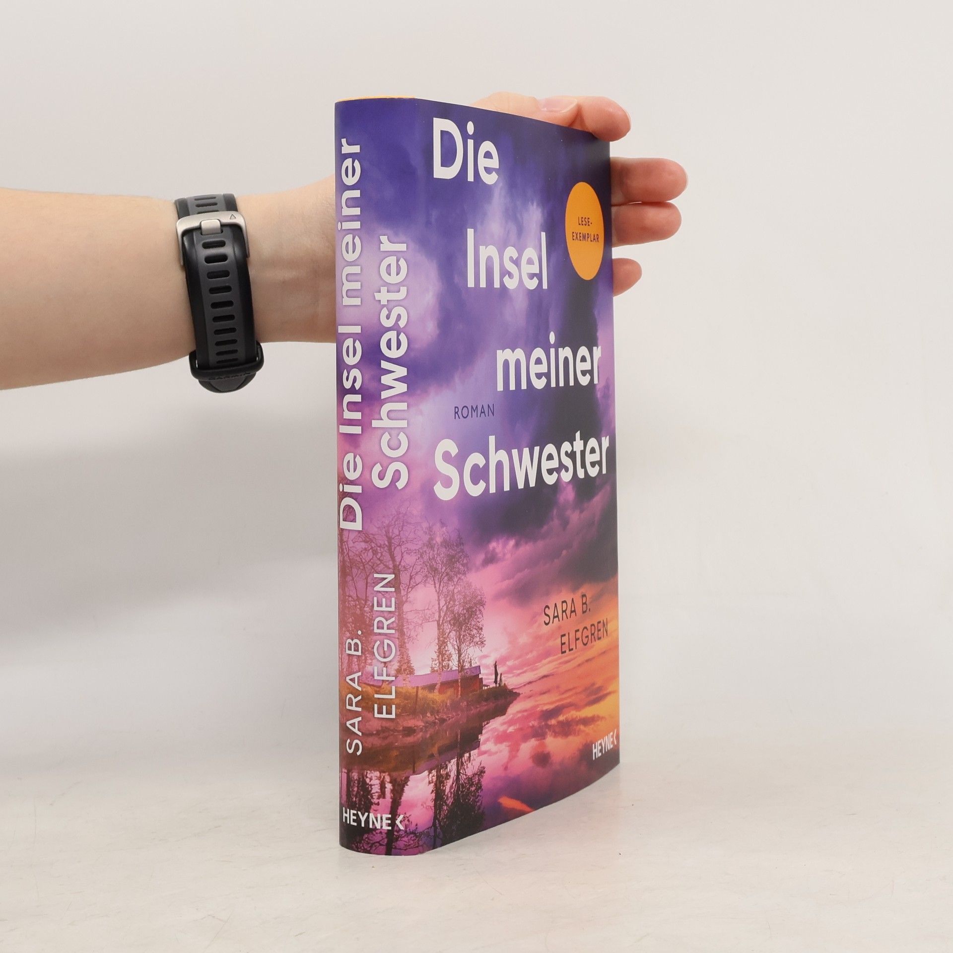 Sara B. Elfgren Die Insel meiner Schwester