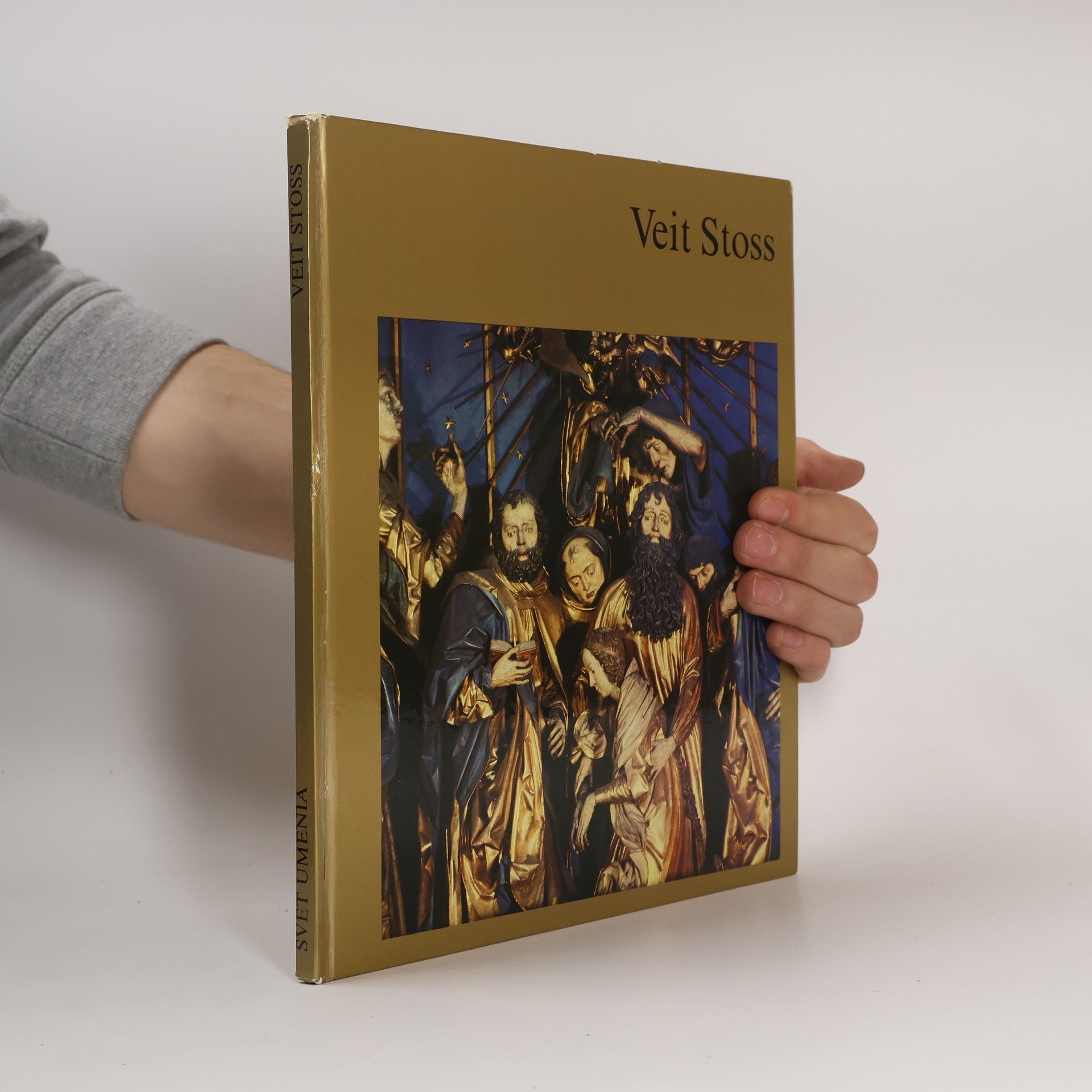 Piotr Skubiszewski Veit Stoss