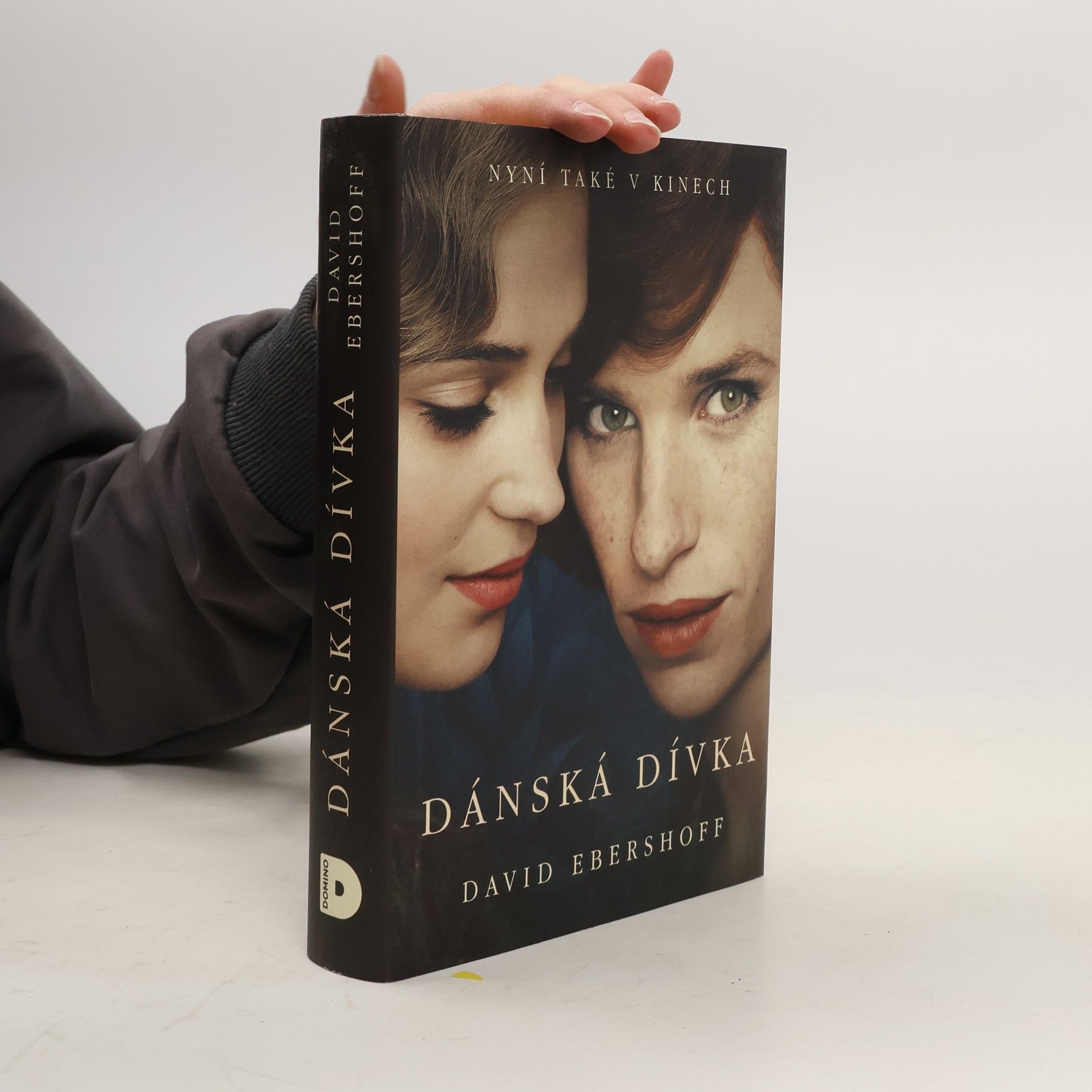 David Ebershoff Dánská dívka