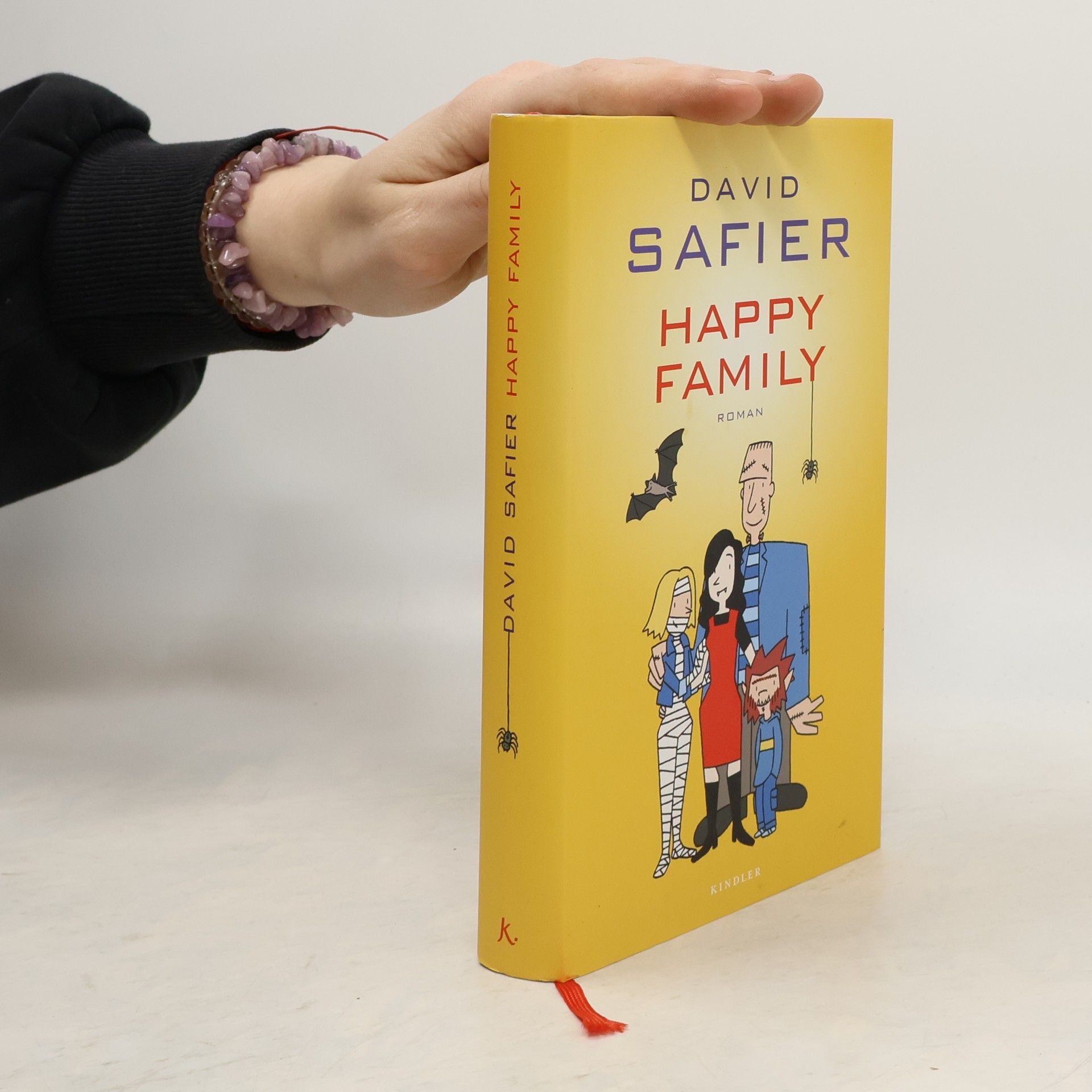 David Safier Happy Family
