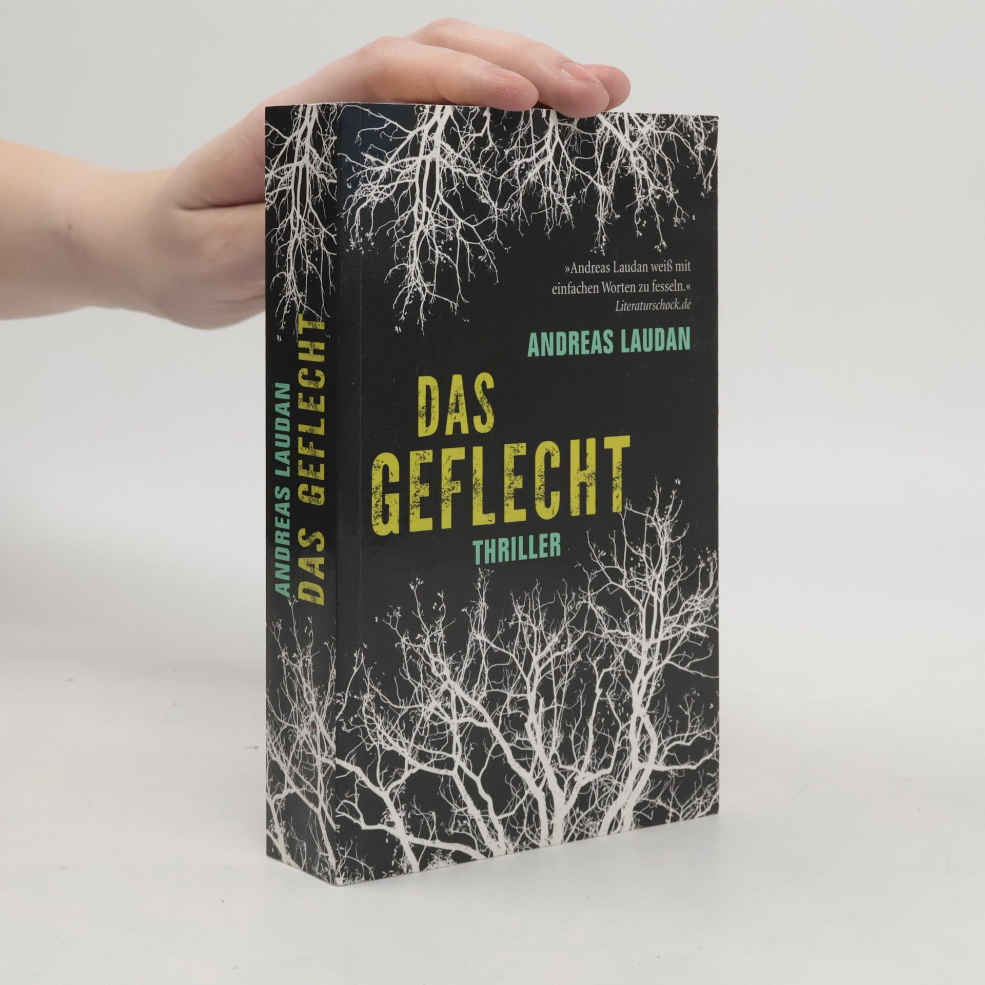 Andreas Laudan Das Geflecht