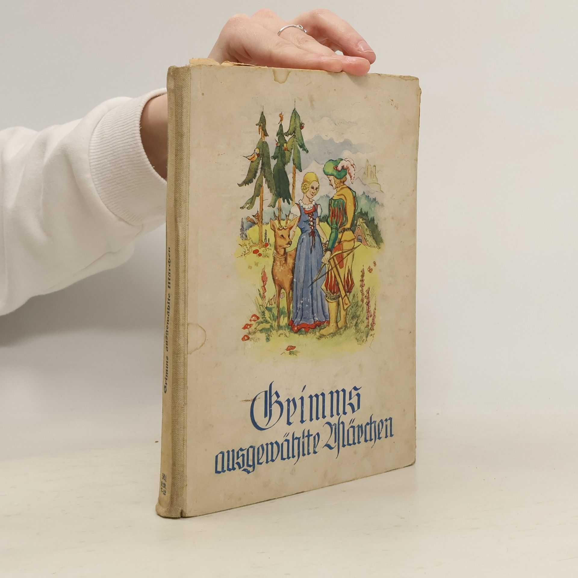 bratři Grimmové Grimms Ausgewählte Märchen