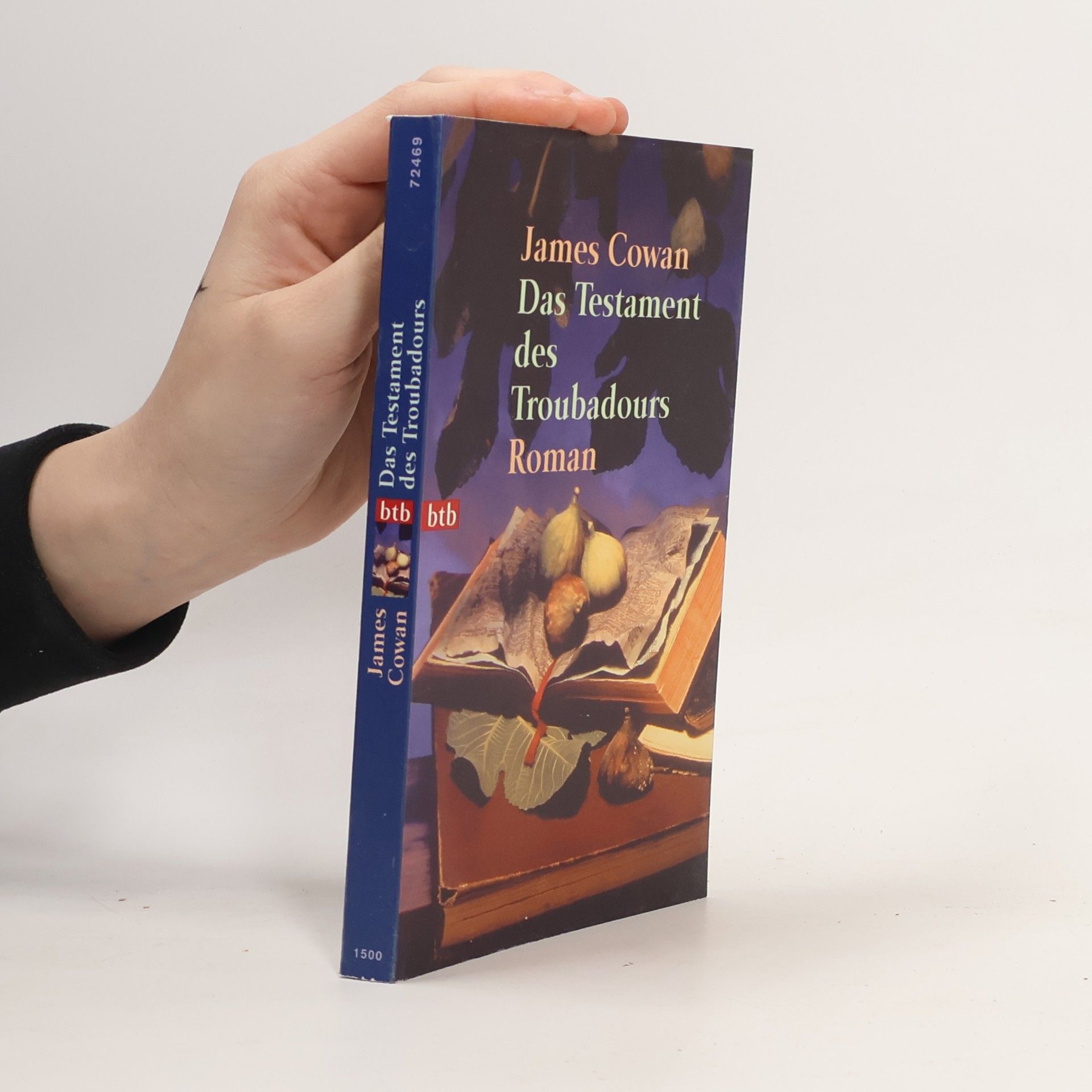 James Cowan Das Testament des Troubadours