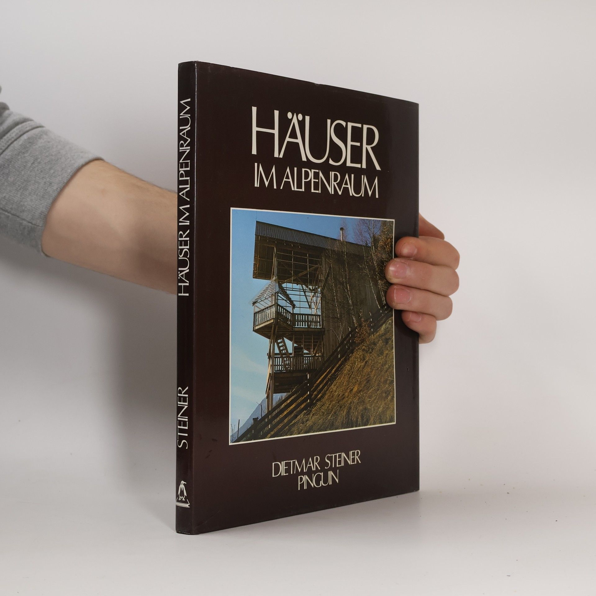 Dietmar Steiner Häuser im Alpenraum