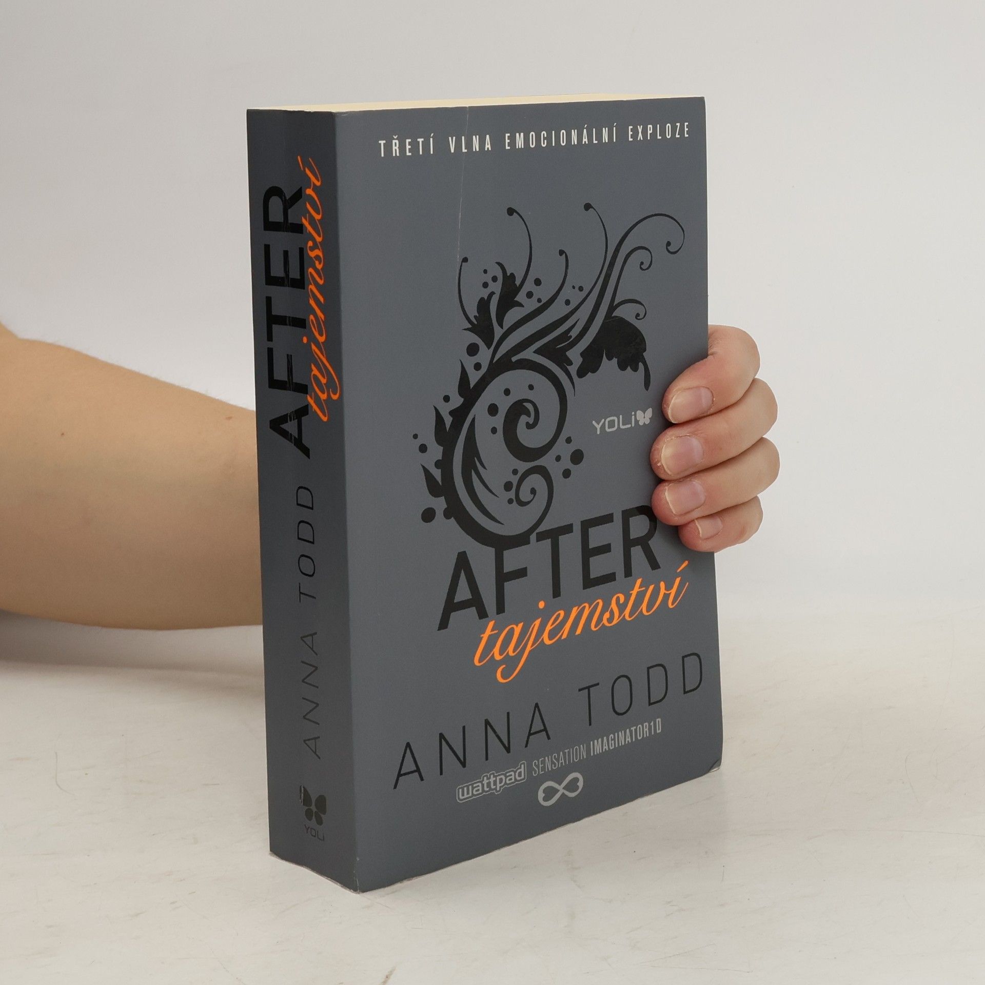 Anna Todd After. Tajemství