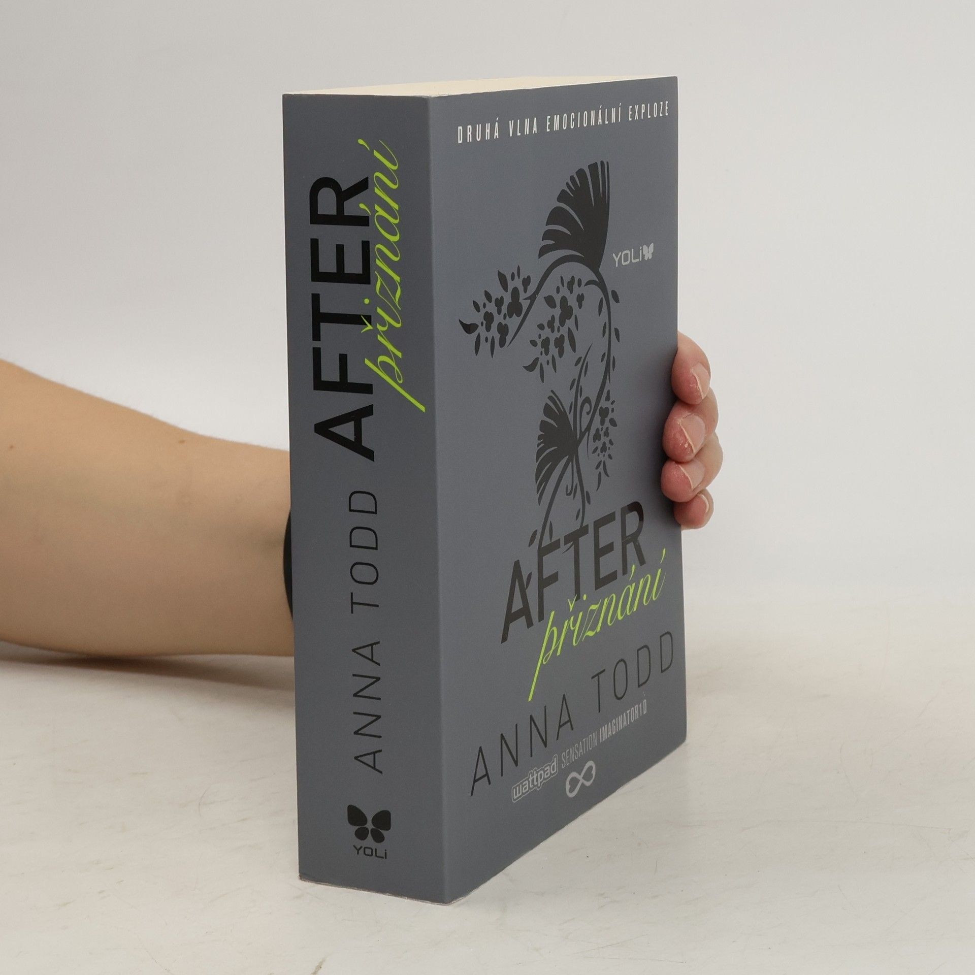 Anna Todd After. Přiznání