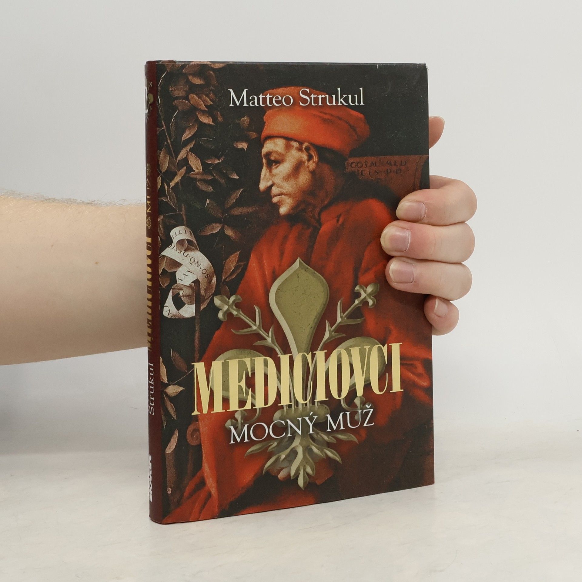 Mediciovci: Mocný muž