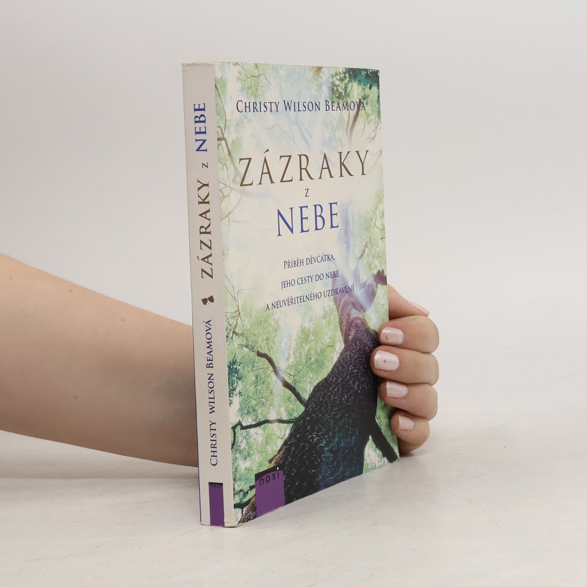 Christy Wilson Beam Zázraky z nebe