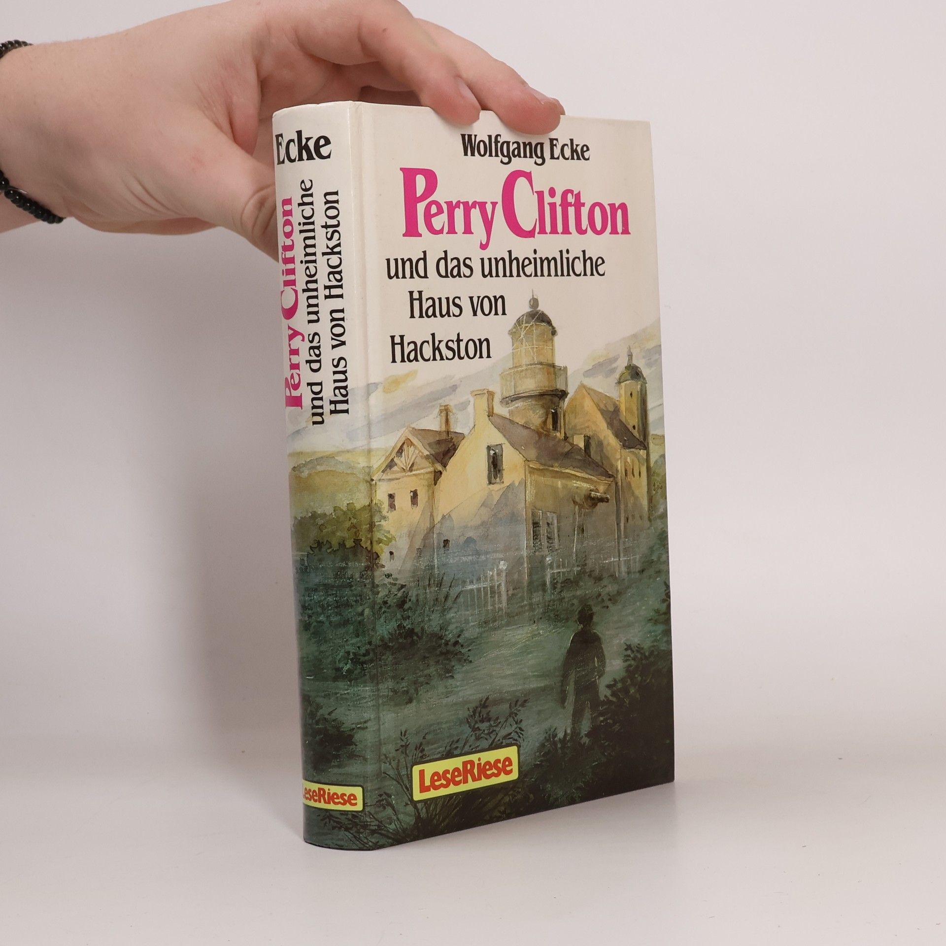 Wolfgang Ecke Perry Clifton und das unheimliche Haus von Hackston