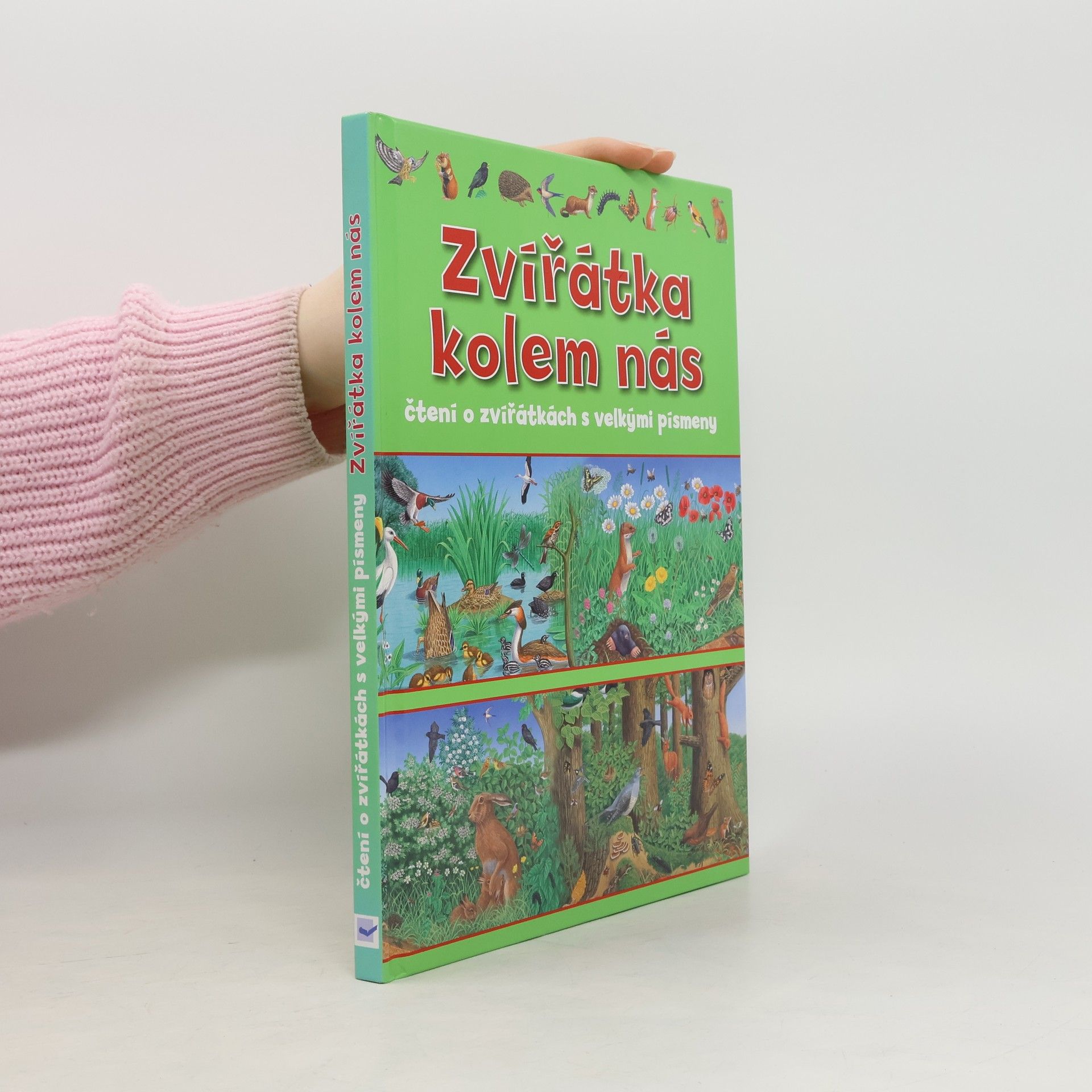 Autorenkollektiv Zvířátka kolem nás : čtení o zvířátkách s velkými písmeny