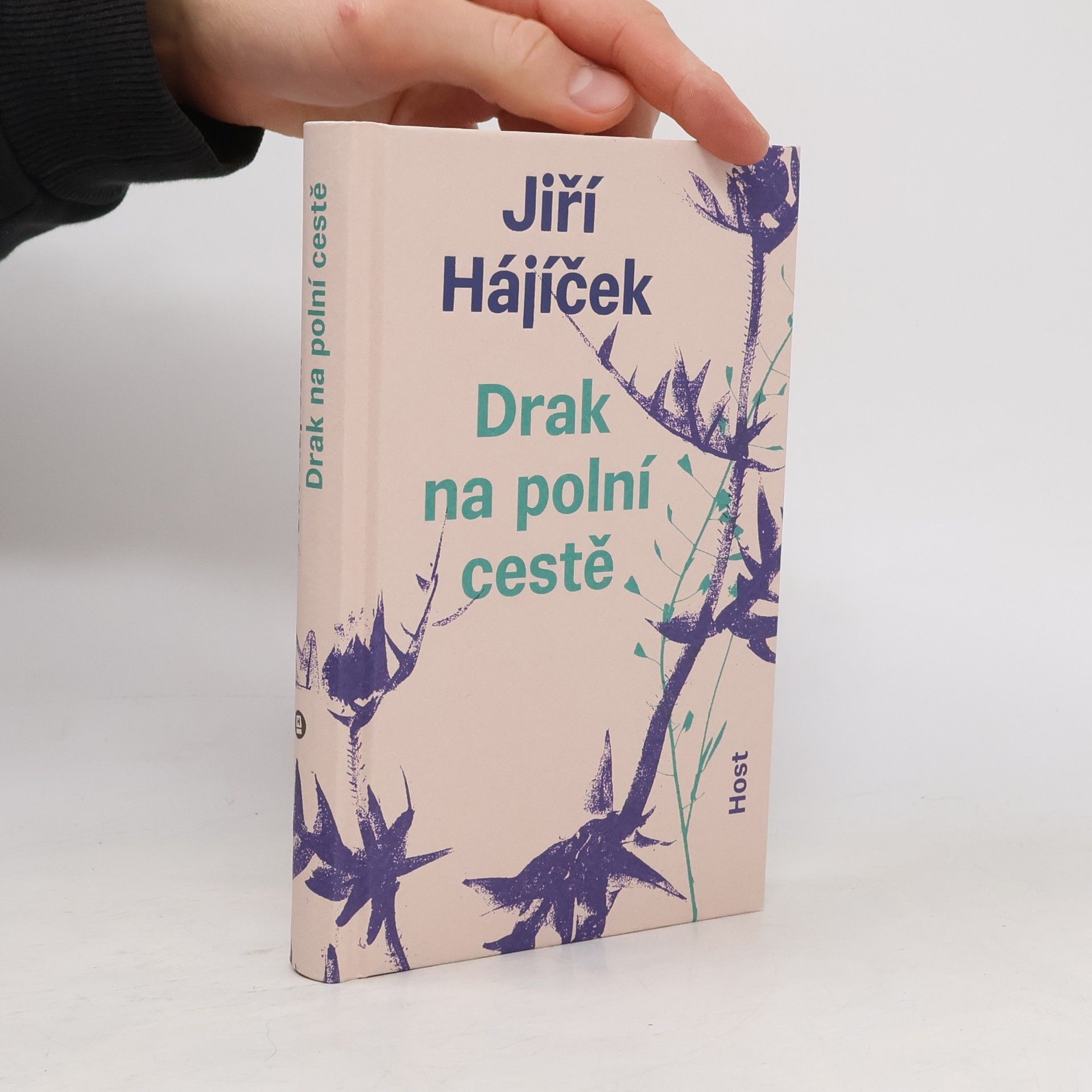 Jiří Hájíček Drak na polní cestě