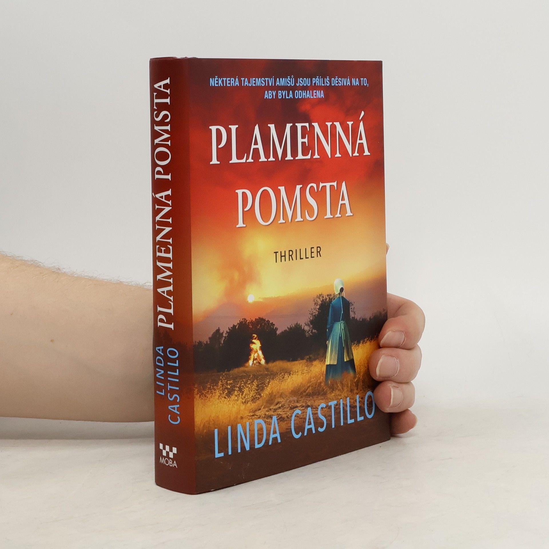 Linda Castillo Plamenná pomsta
