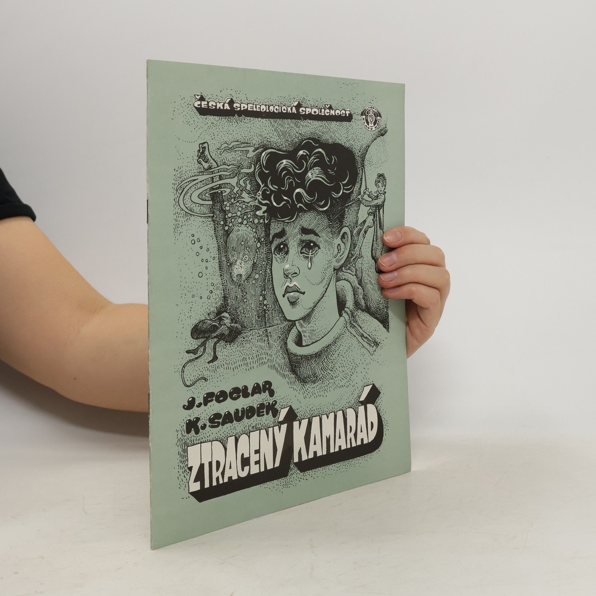 Kája Saudek Ztracený kamarád