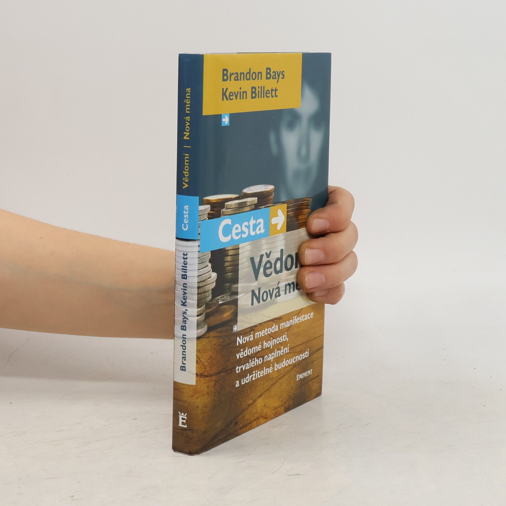 Brandon Bays Cesta, vědomí, nová měna