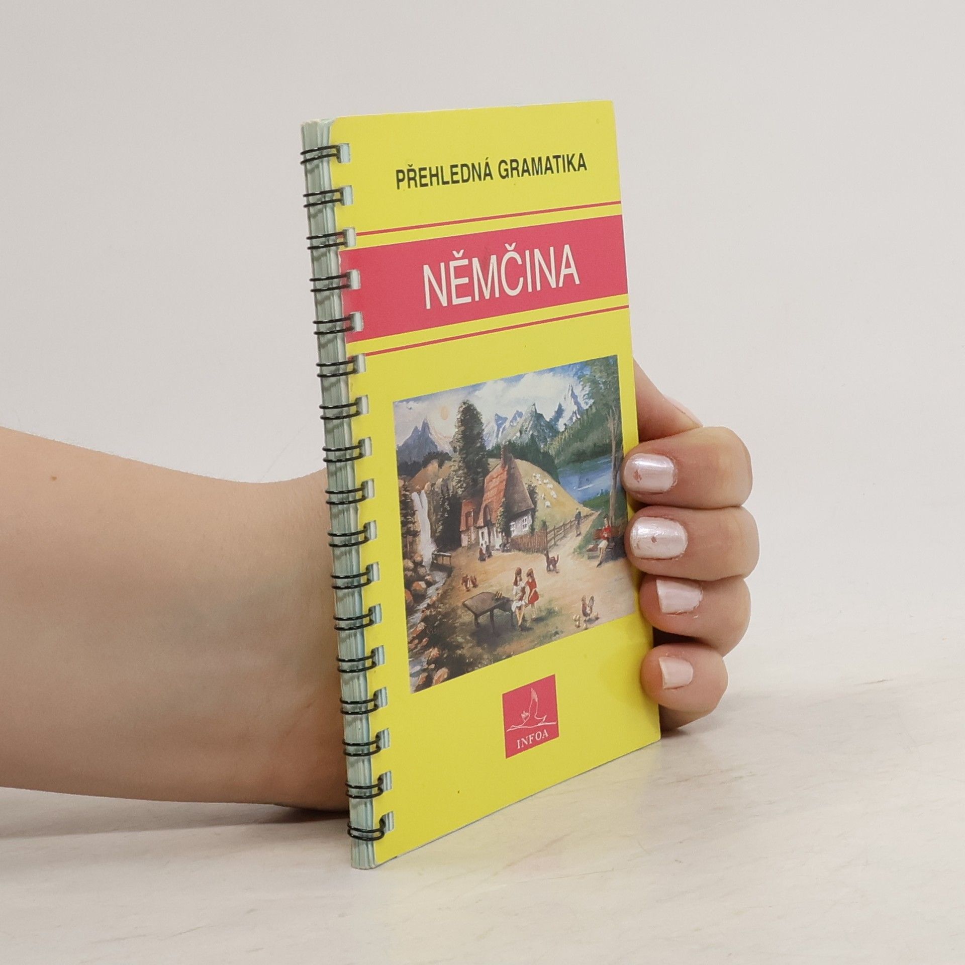 Kurt Lohr Němčina. Přehledná gramatika