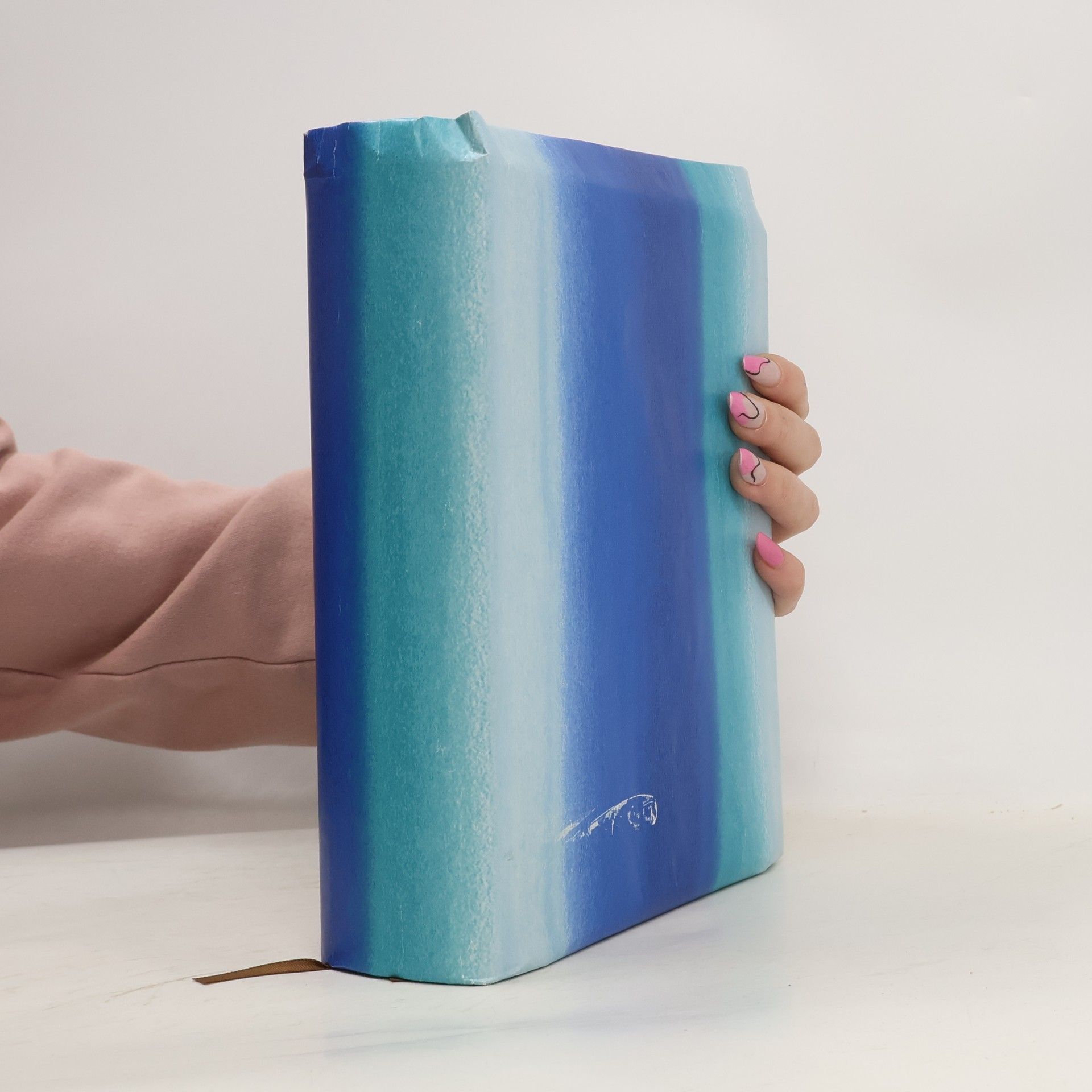 Collectif d'auteurs Jeruzalémská bible