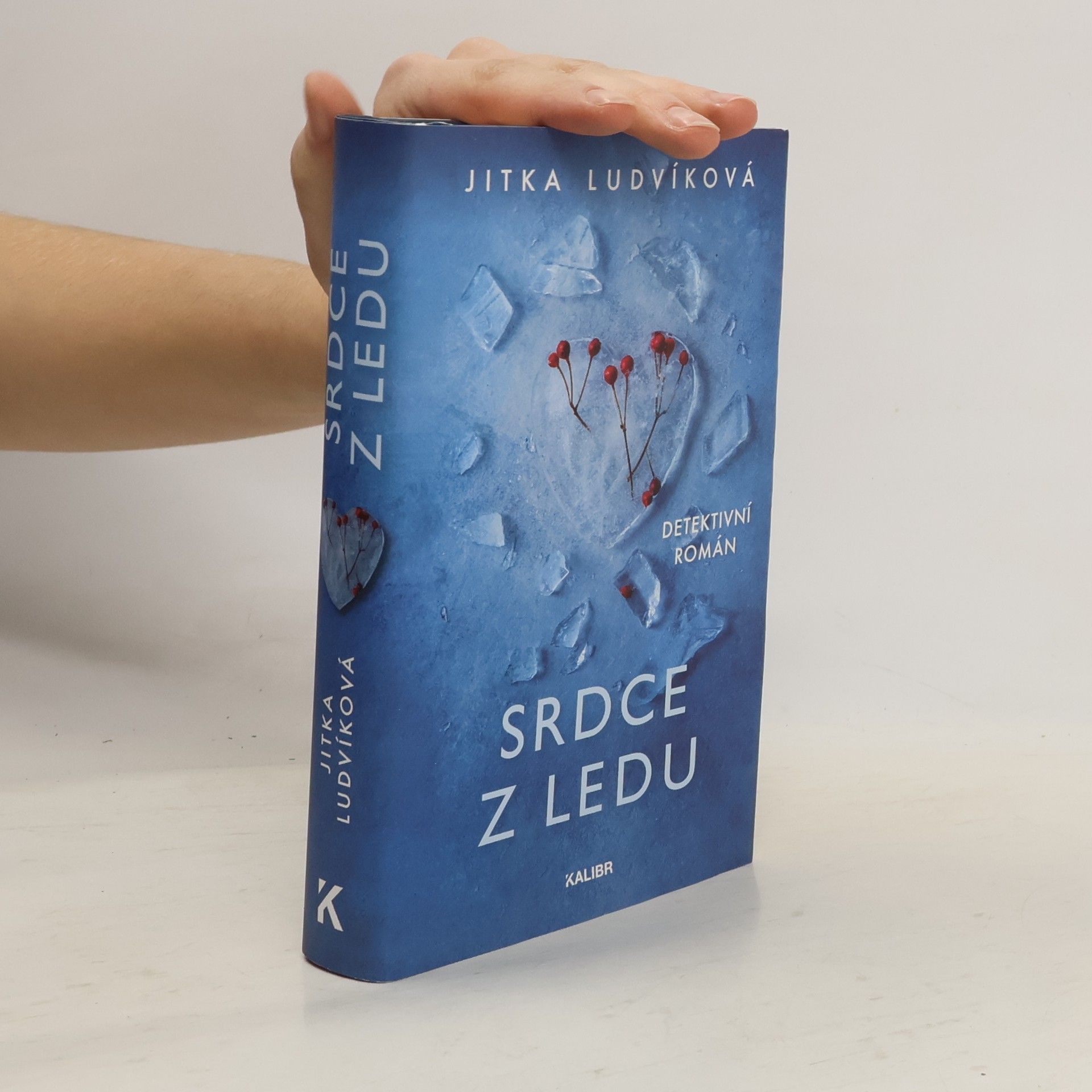 Jitka Ludvíková Srdce z ledu