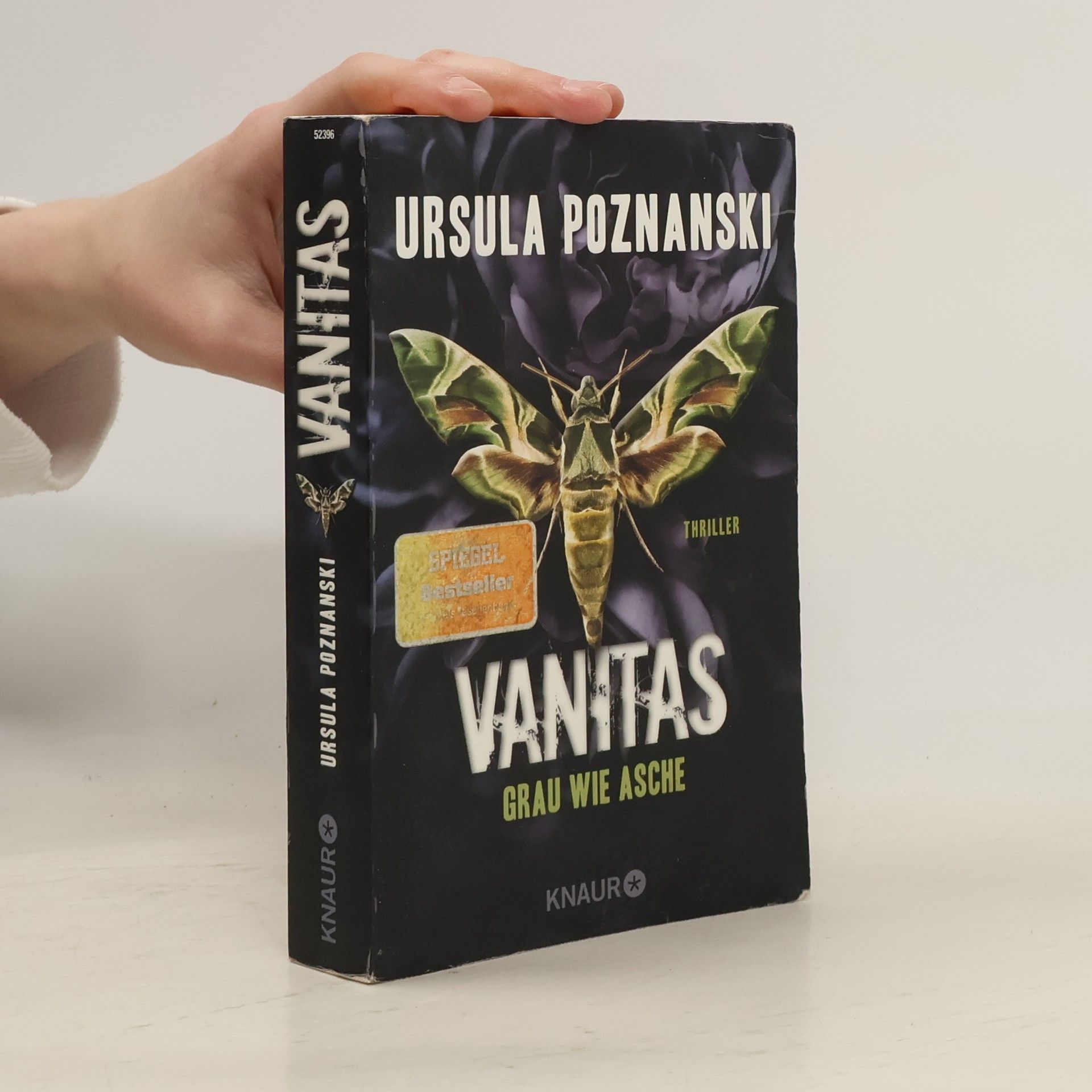 Ursula Poznanski Vanitas. Grau wie Asche
