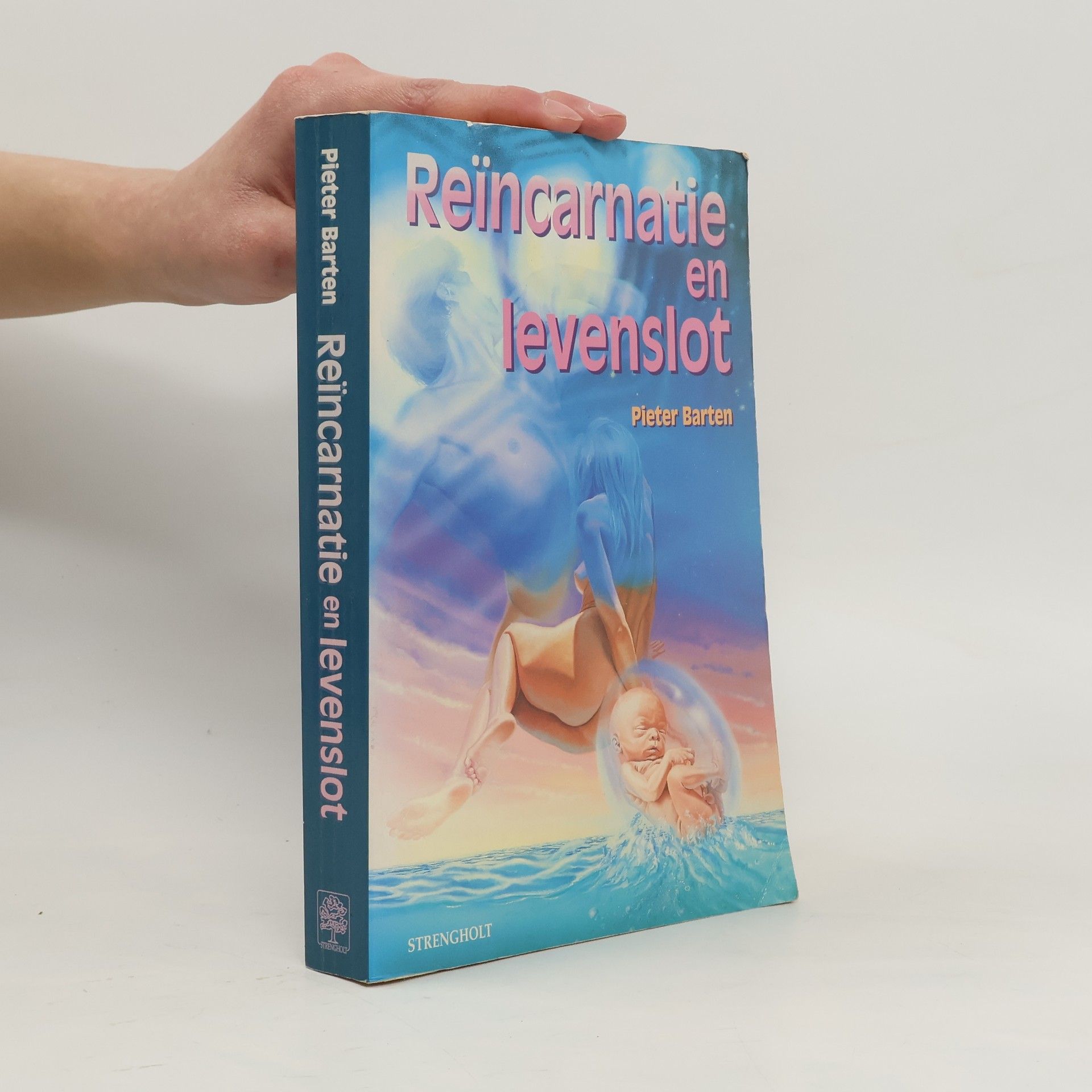 Pieter Barten Reïncarnatie en levenslot