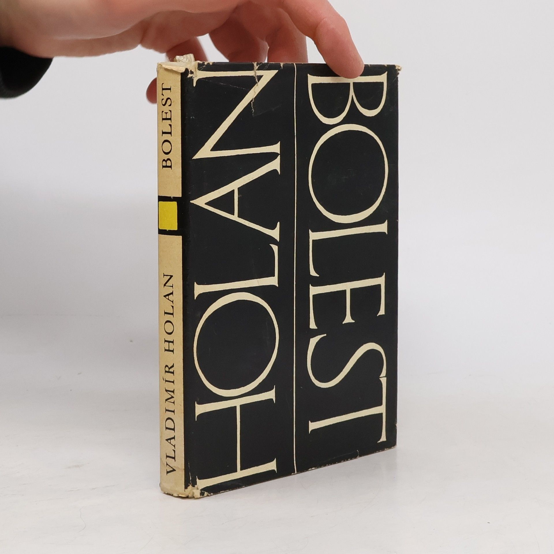 Vladimír Holan Bolest