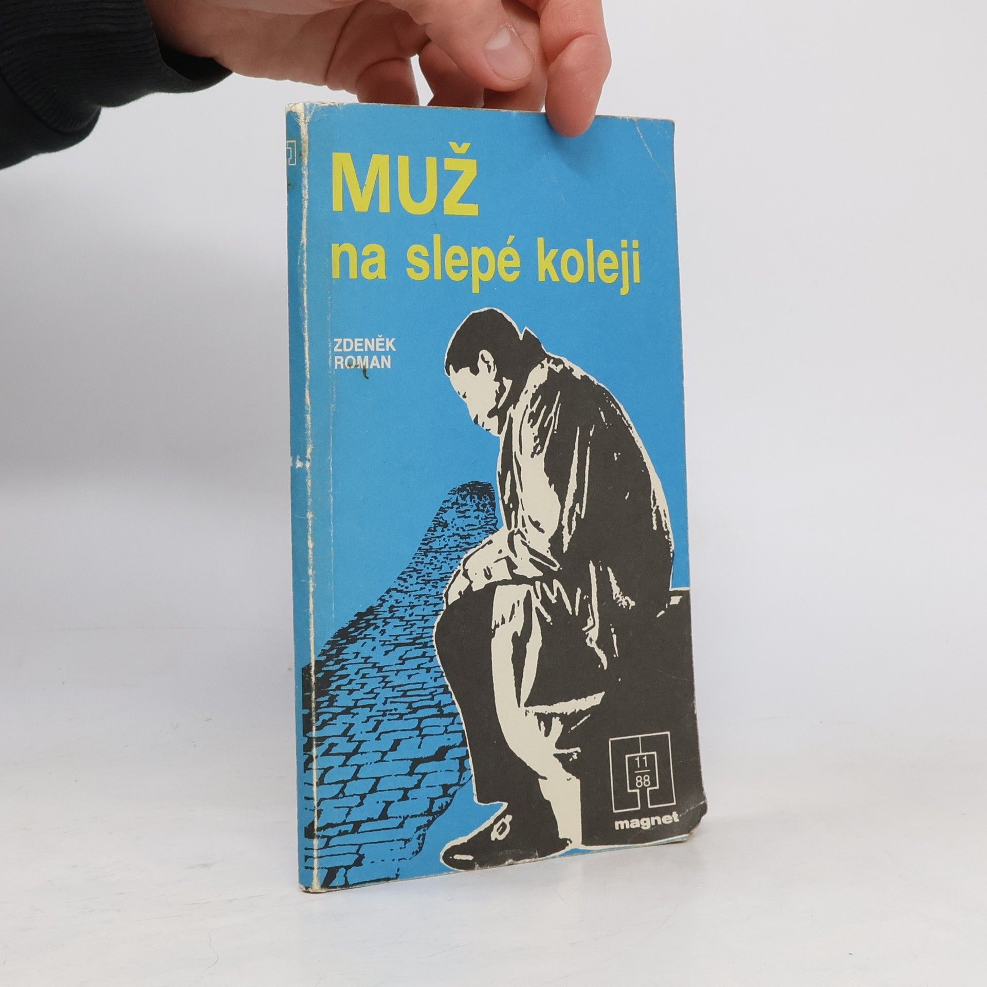 Zdeněk Roman Muž na slepé koleji