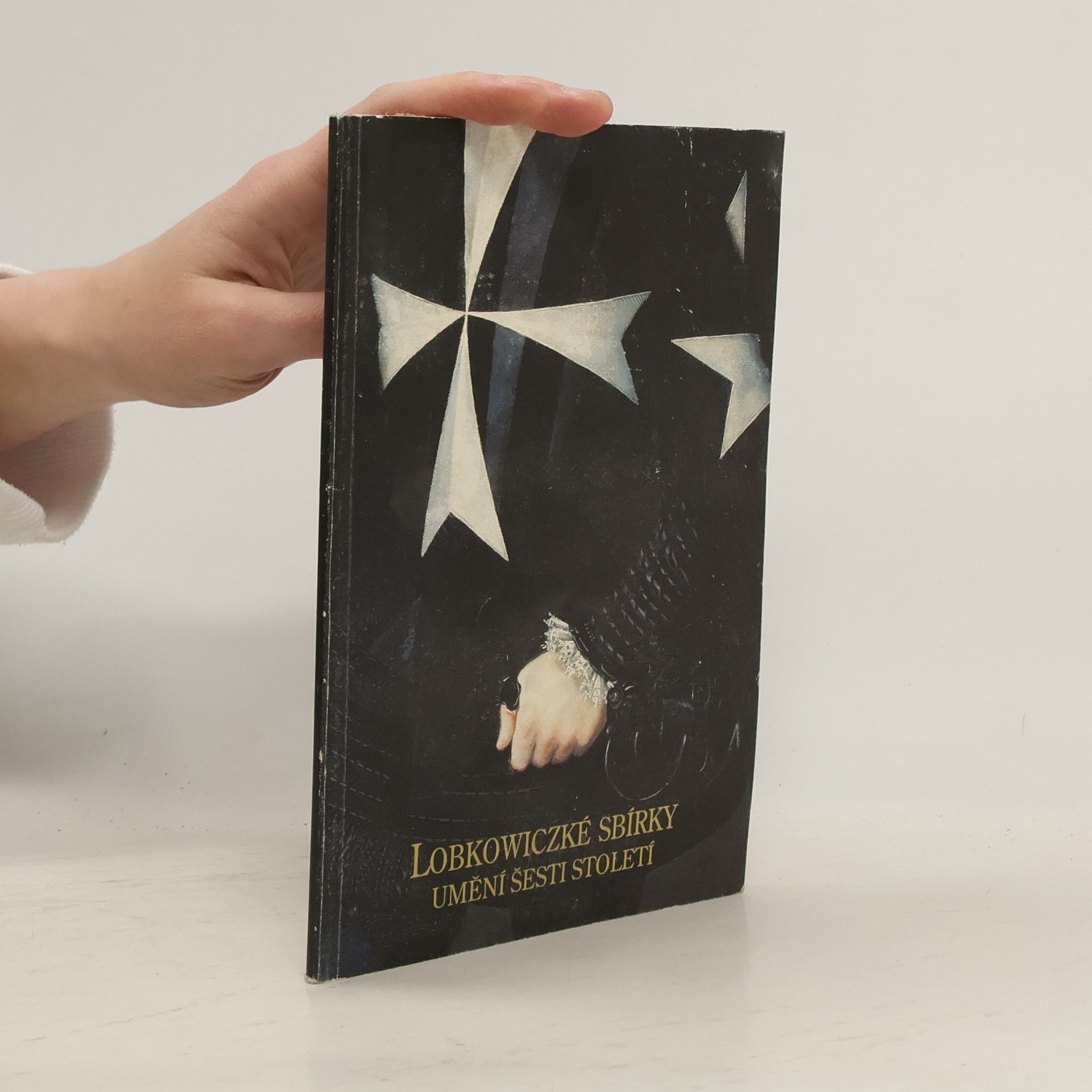 Auteurscollectief Lobkowiczké sbírky. Umění šesti století