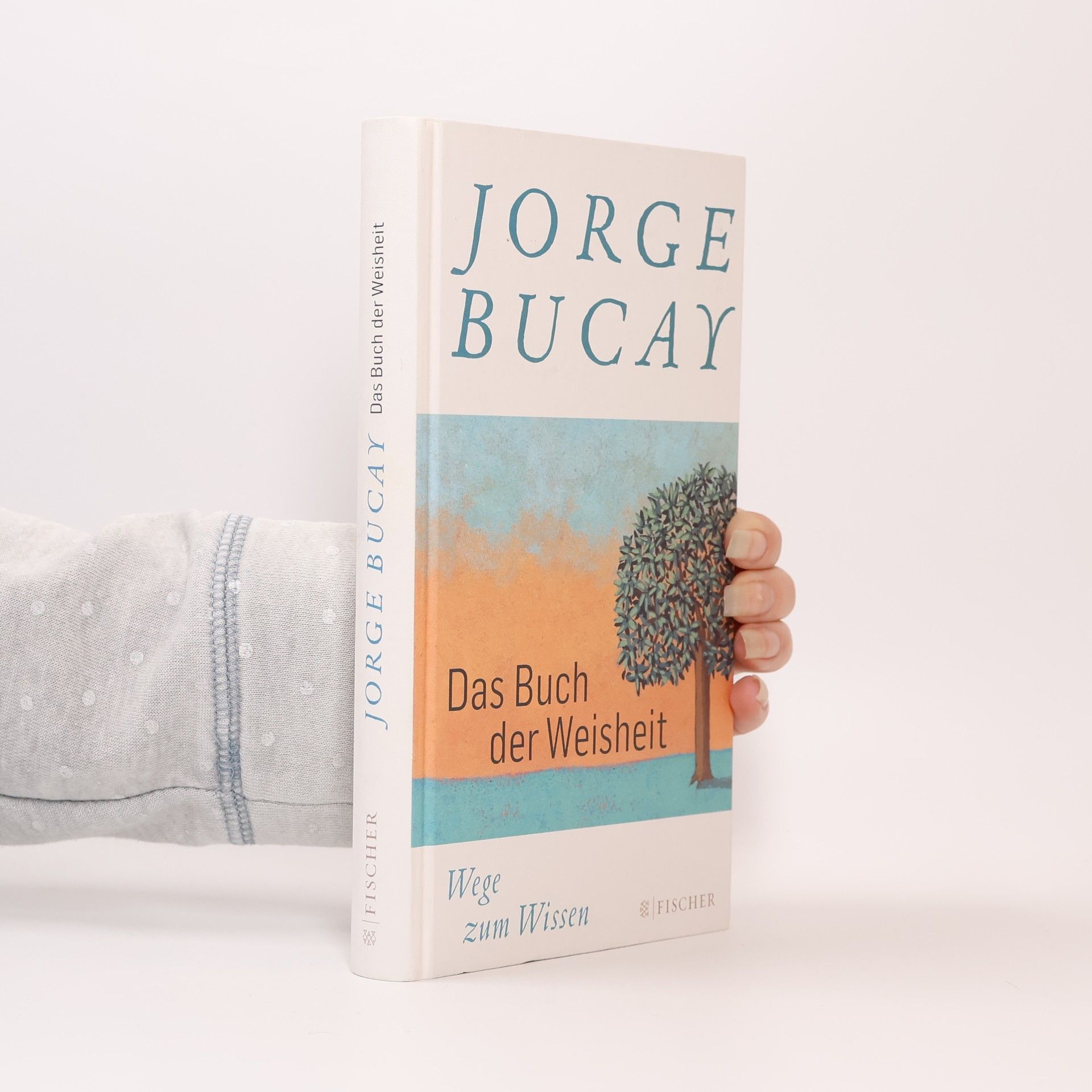 Jorge Bucay Das Buch der Weisheit