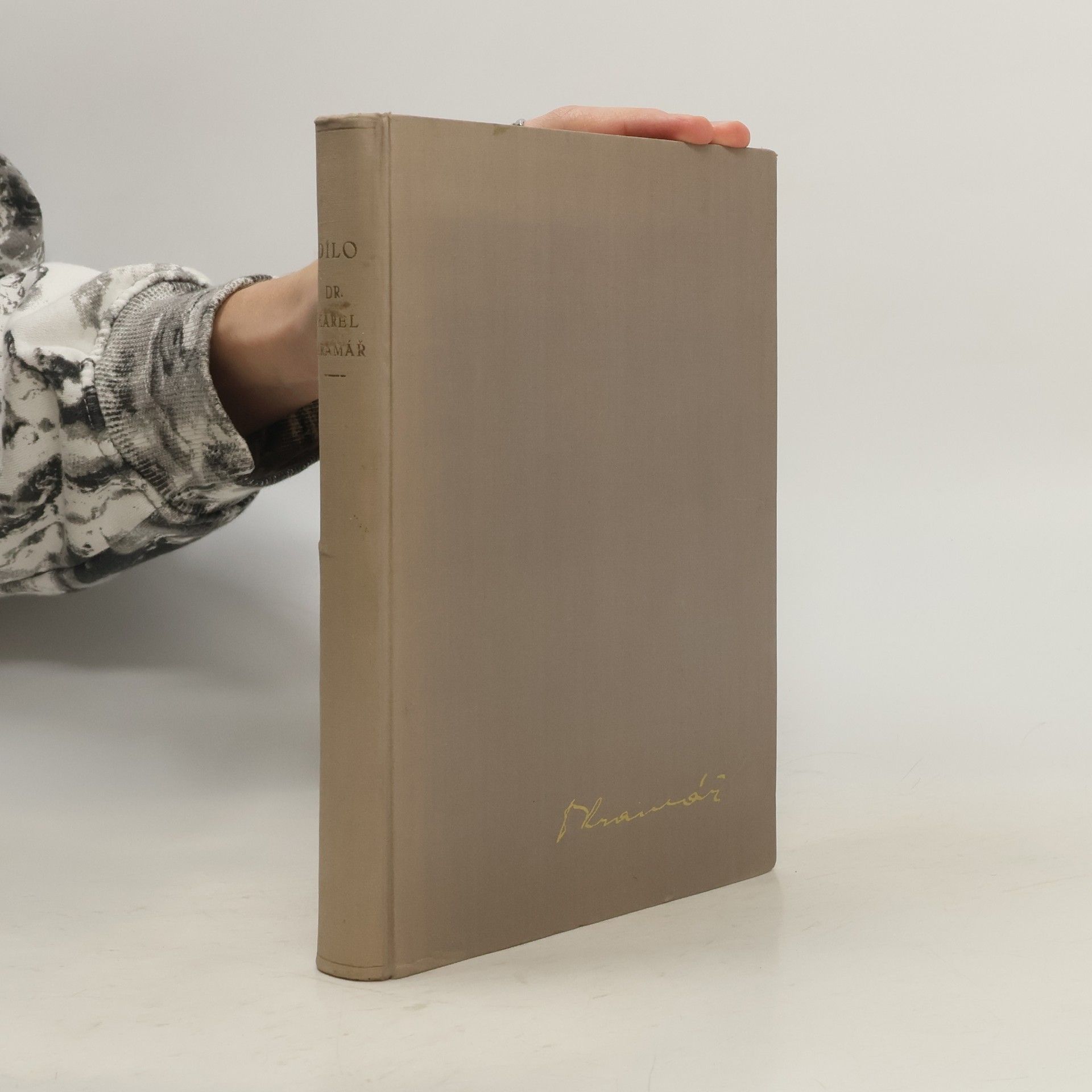 Dr. Karel Kramář. Život - dílo - práce vůdce národa I.