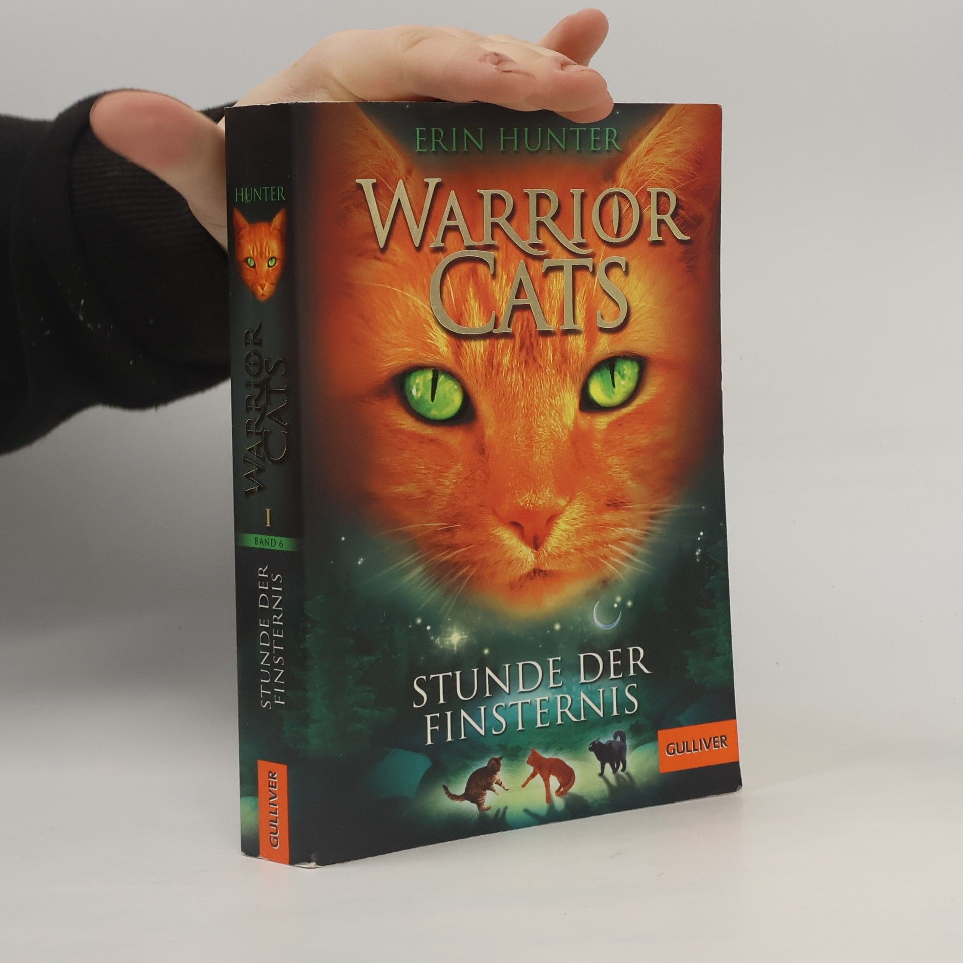 Erin Hunter Stunde der Finsternis