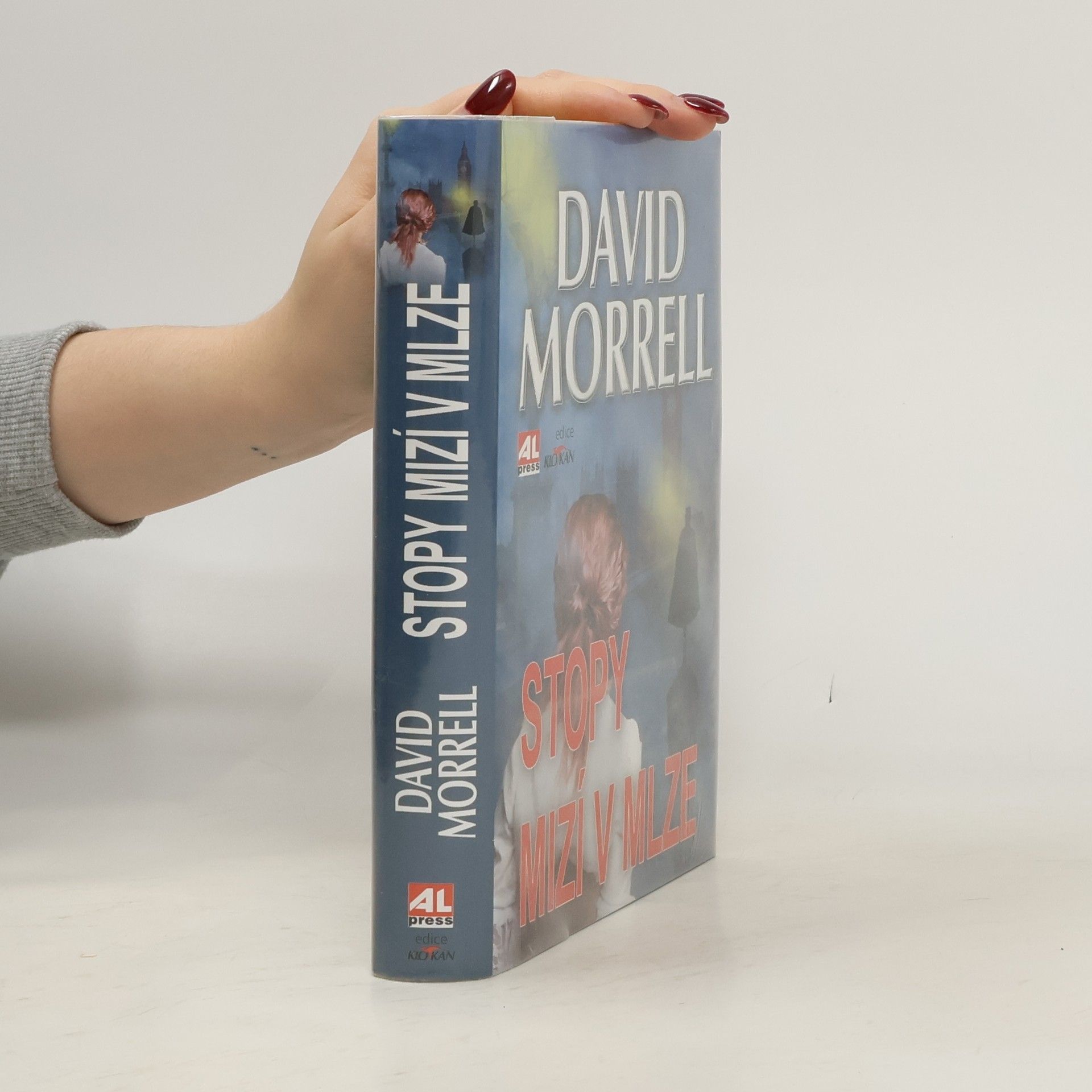 David Morrell Stopy mizí v mlze