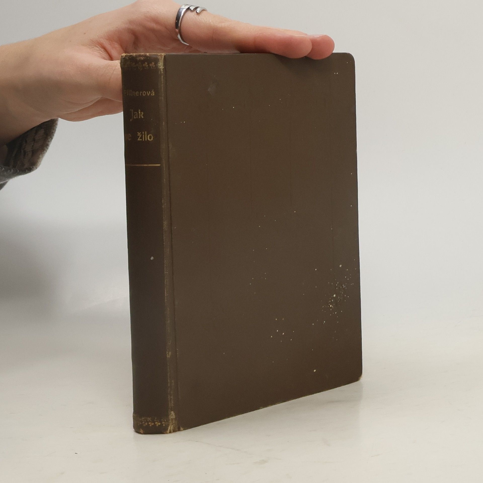 Vlasta Pittnerová Sebrané spisy Vlasty Pittnerové X.