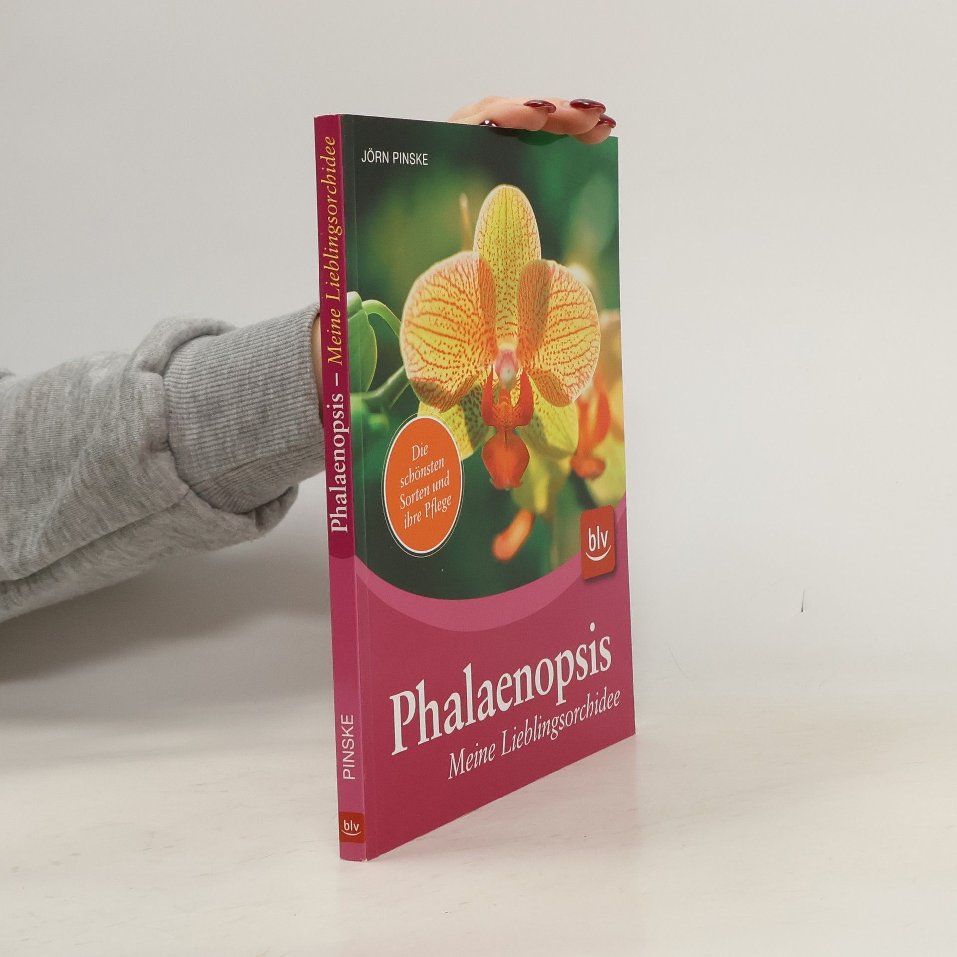 Jörn Pinske Phalaenopsis