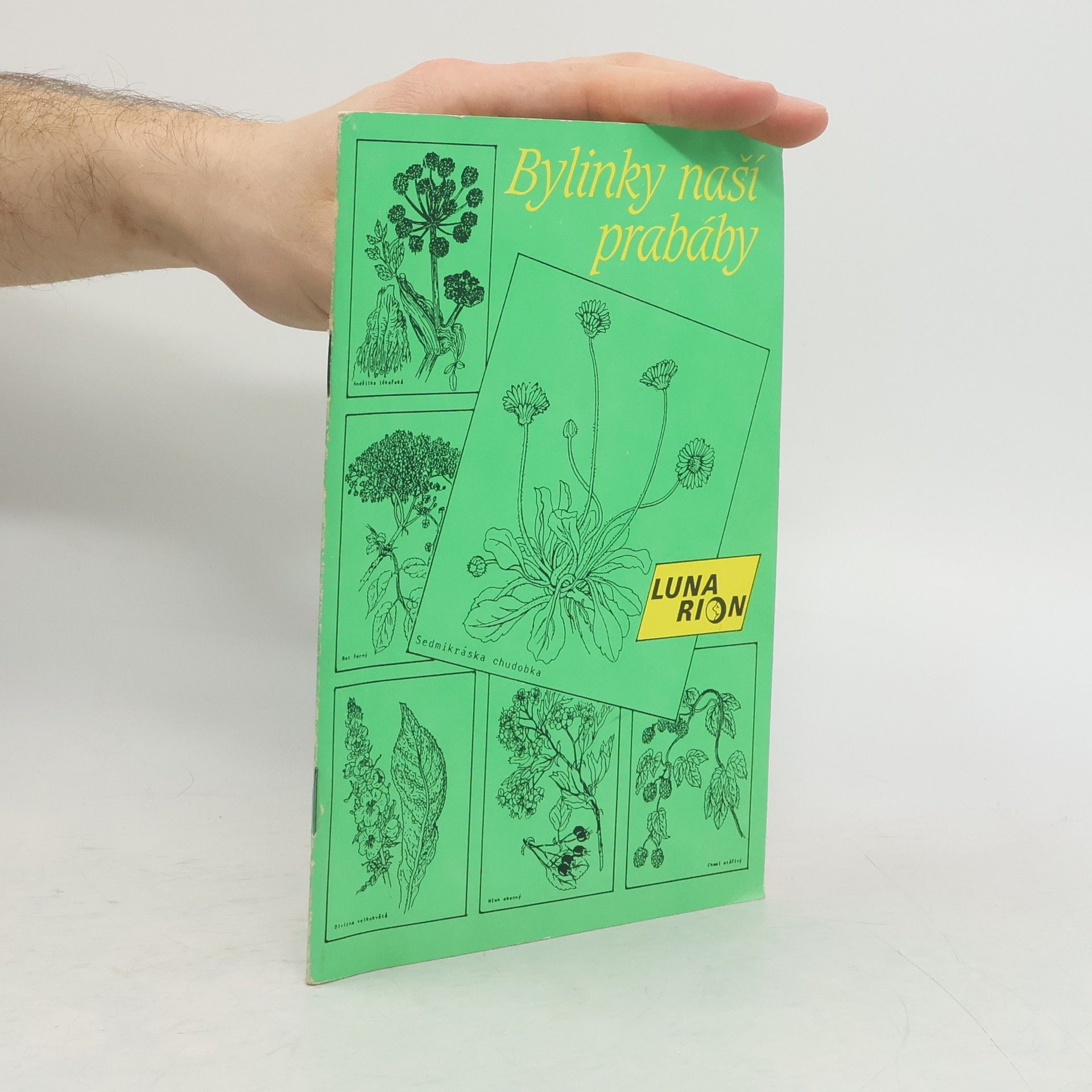 Kolektiv autorů Bylinky naší prabáby