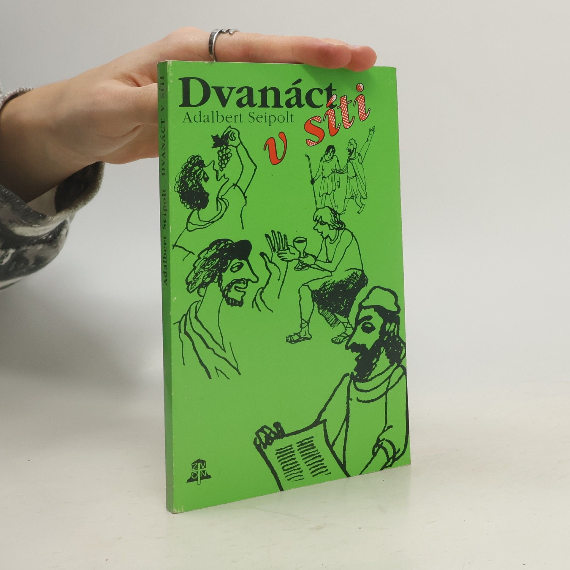 Adalbert Seipolt Dvanáct v síti