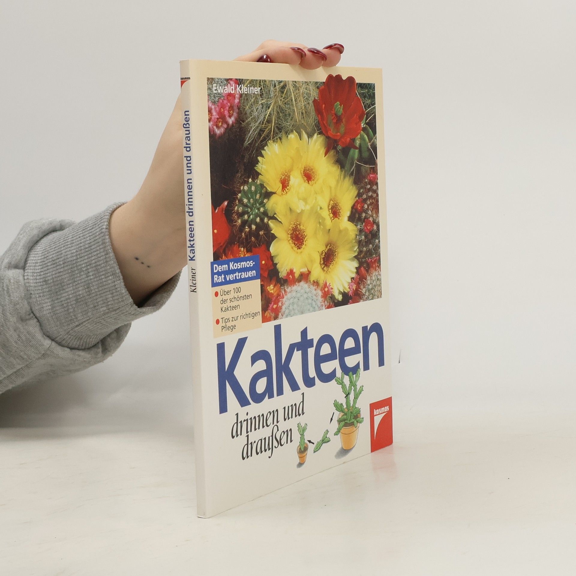 Kakteen drinnen und draußen