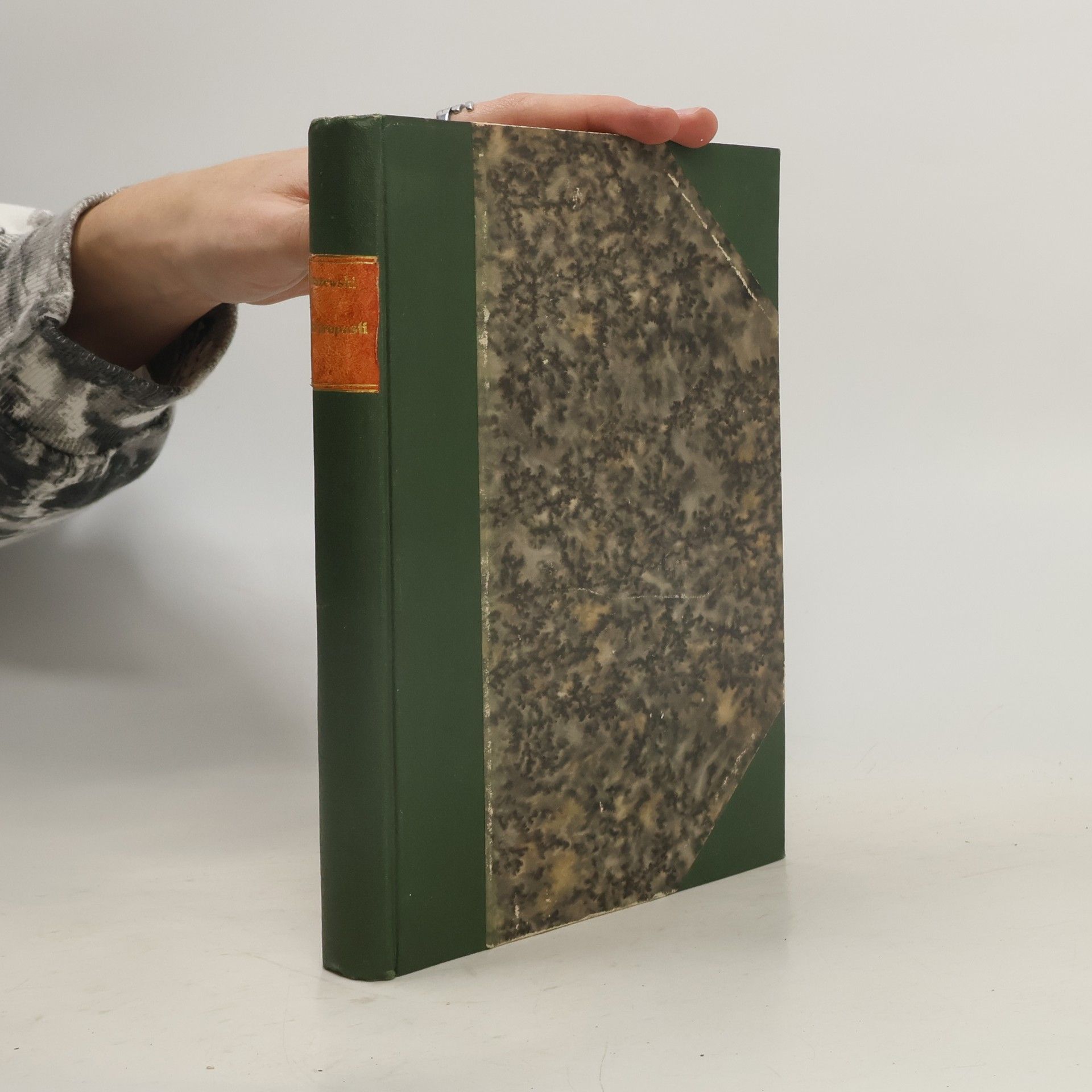 Józef Ignacy Kraszewski Nad propastí