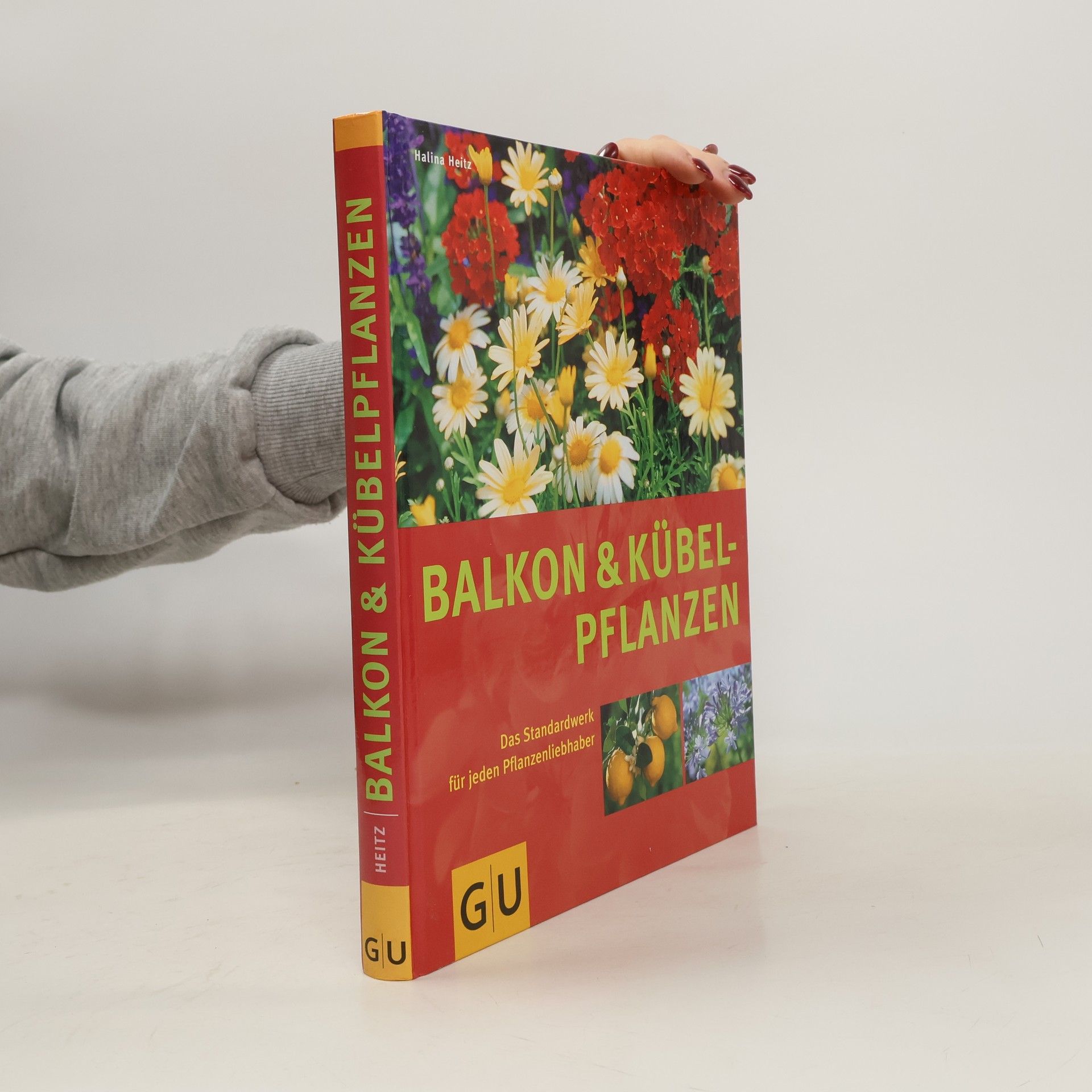 Balkon und Kübelpflanzen