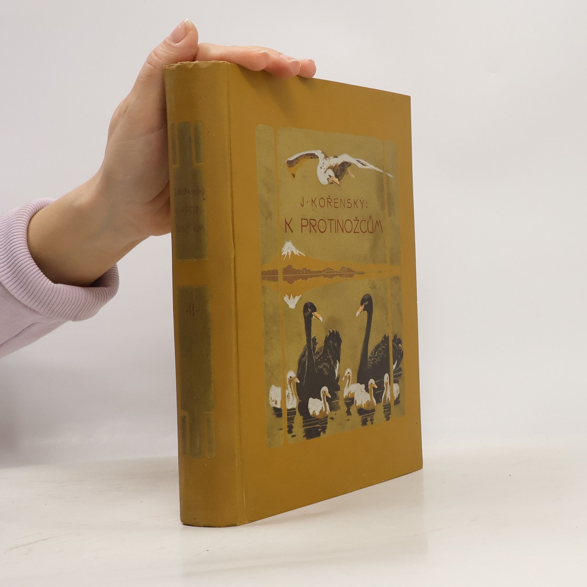 Josef Kořenský Cesta k protinožcům II