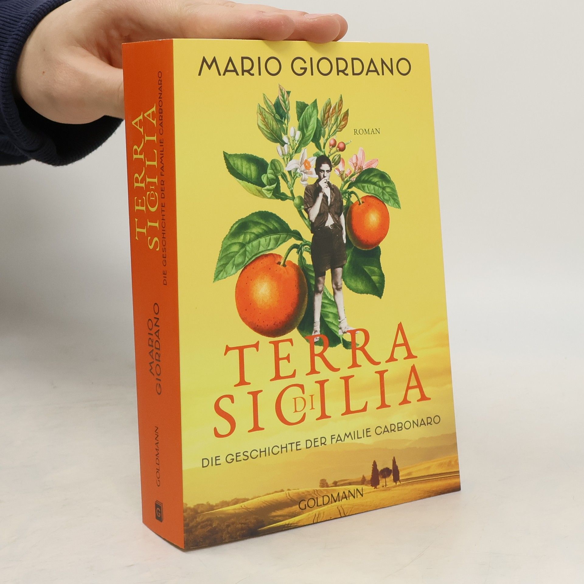 Mario Giordano Terra di Sicilia. Die Geschichte der Familie Carbonaro