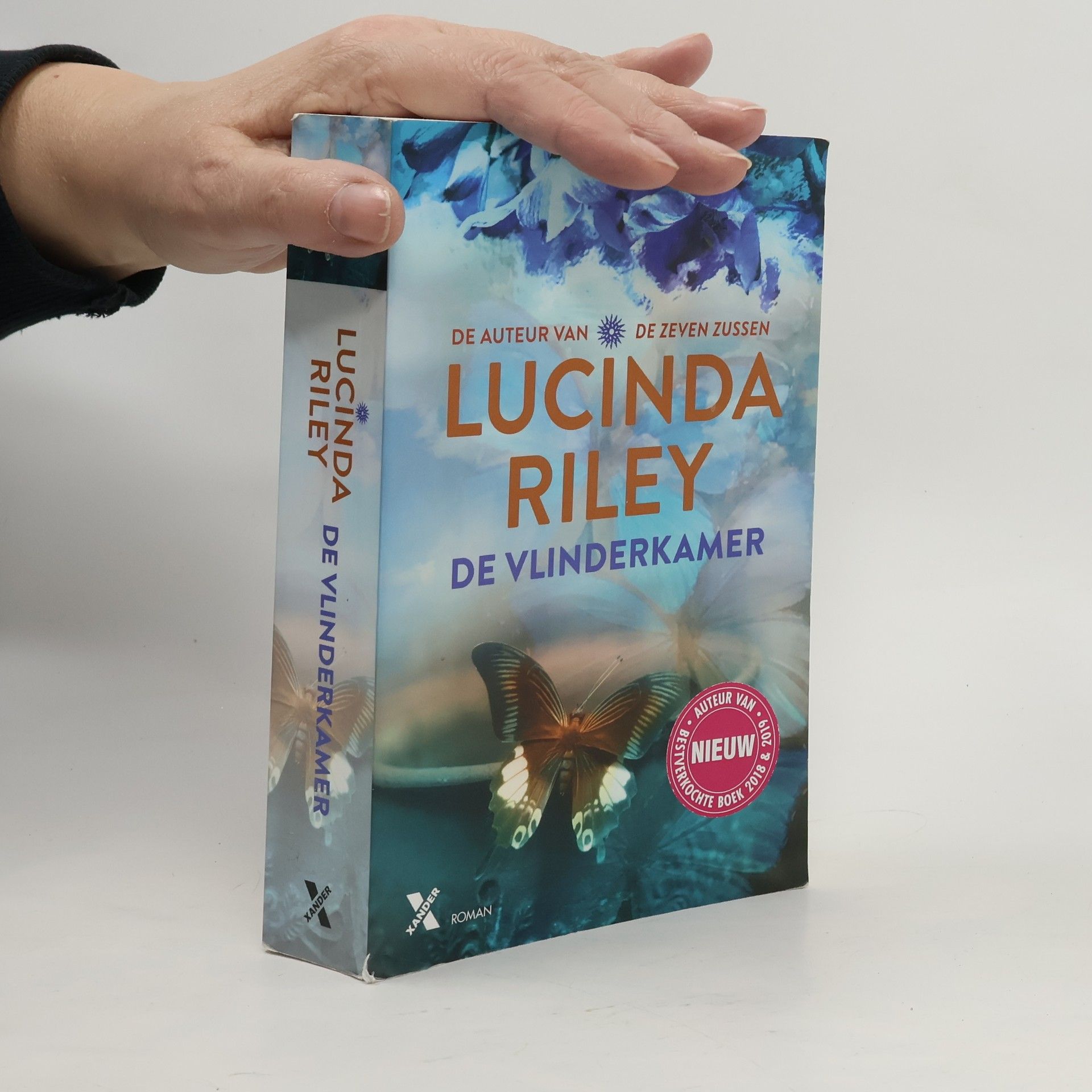 Lucinda Riley De vlinderkamer